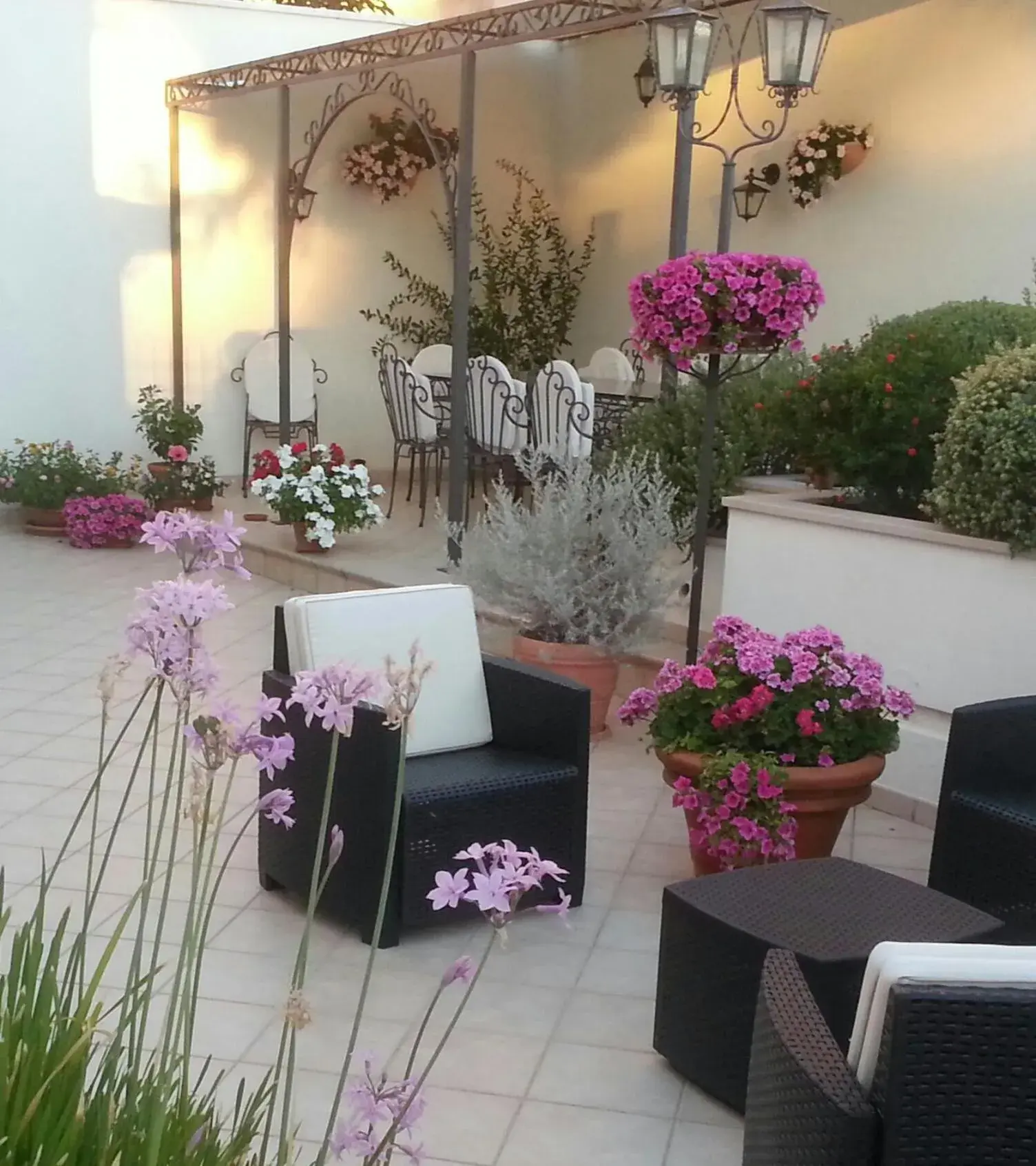 Il Giardino Delle Sete Il Giardino Delle Sete