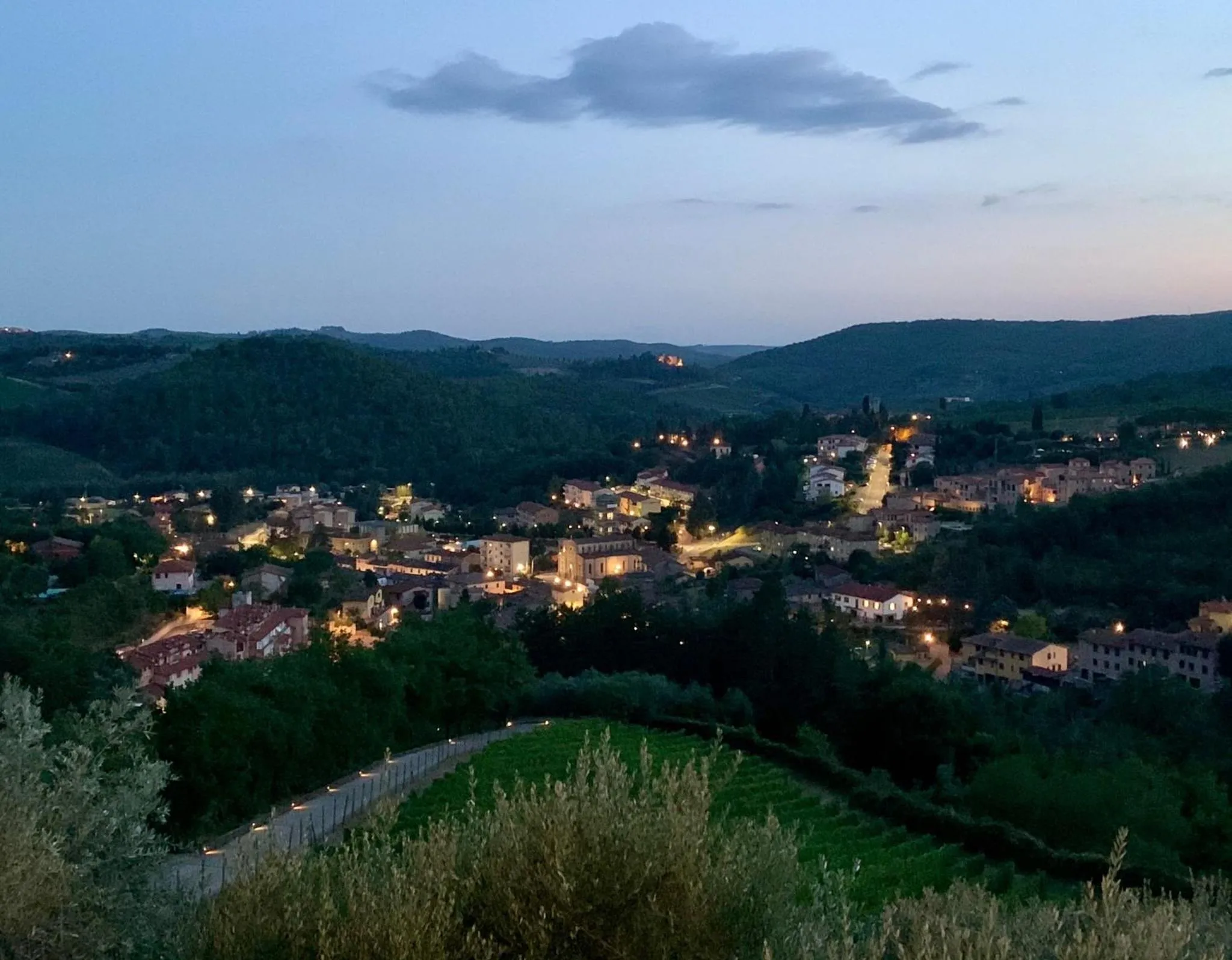 City view in Capannelle Wine Resort