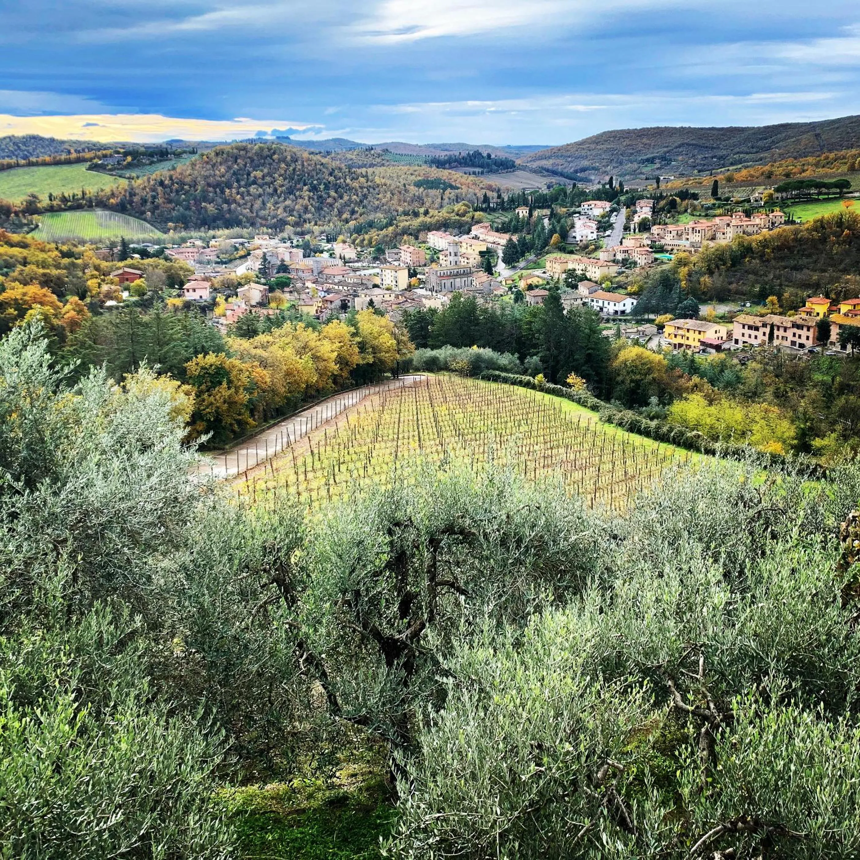 Property building in Capannelle Wine Resort