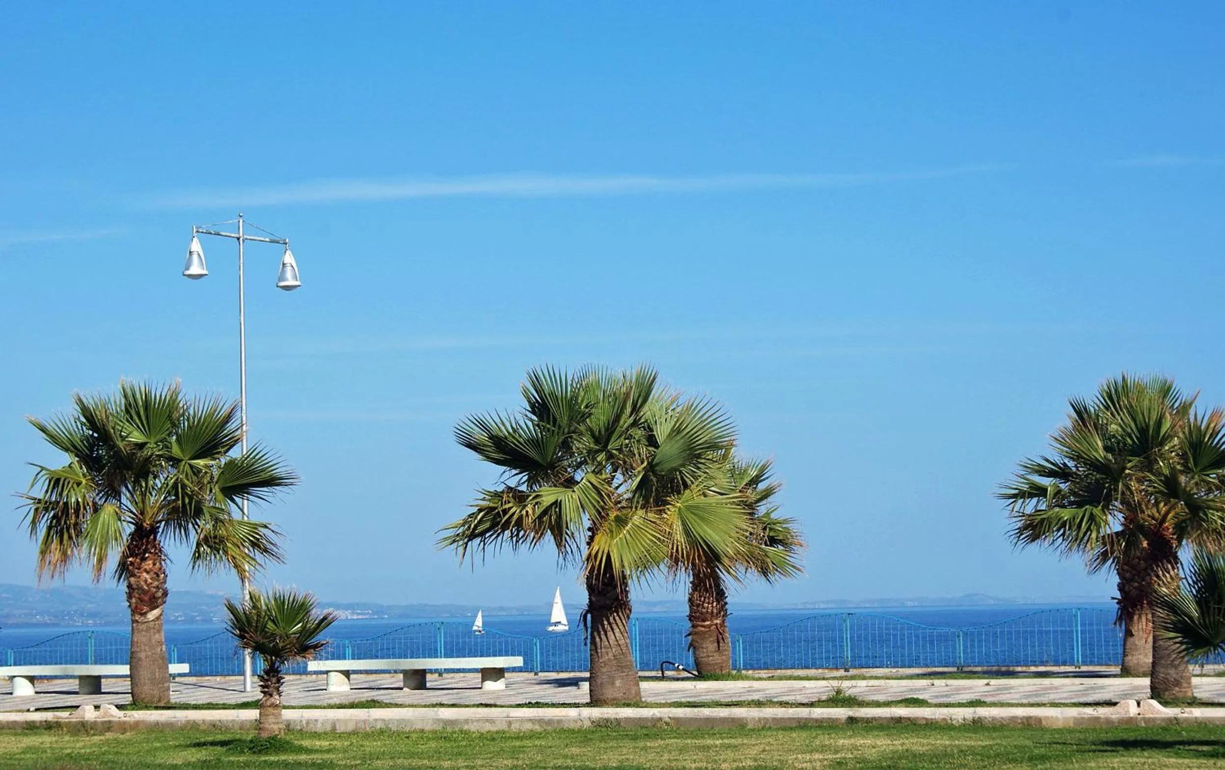 Area and facilities in Hotel Nettuno