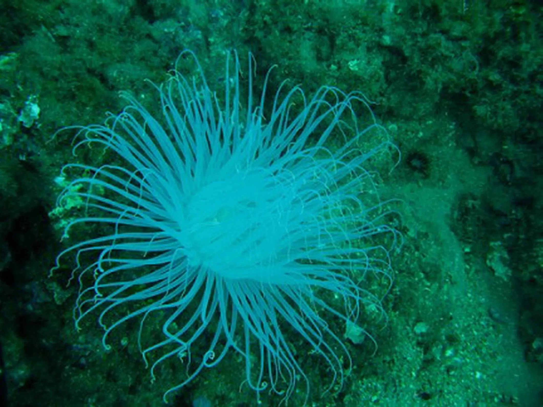 Other in B&B Da Matì