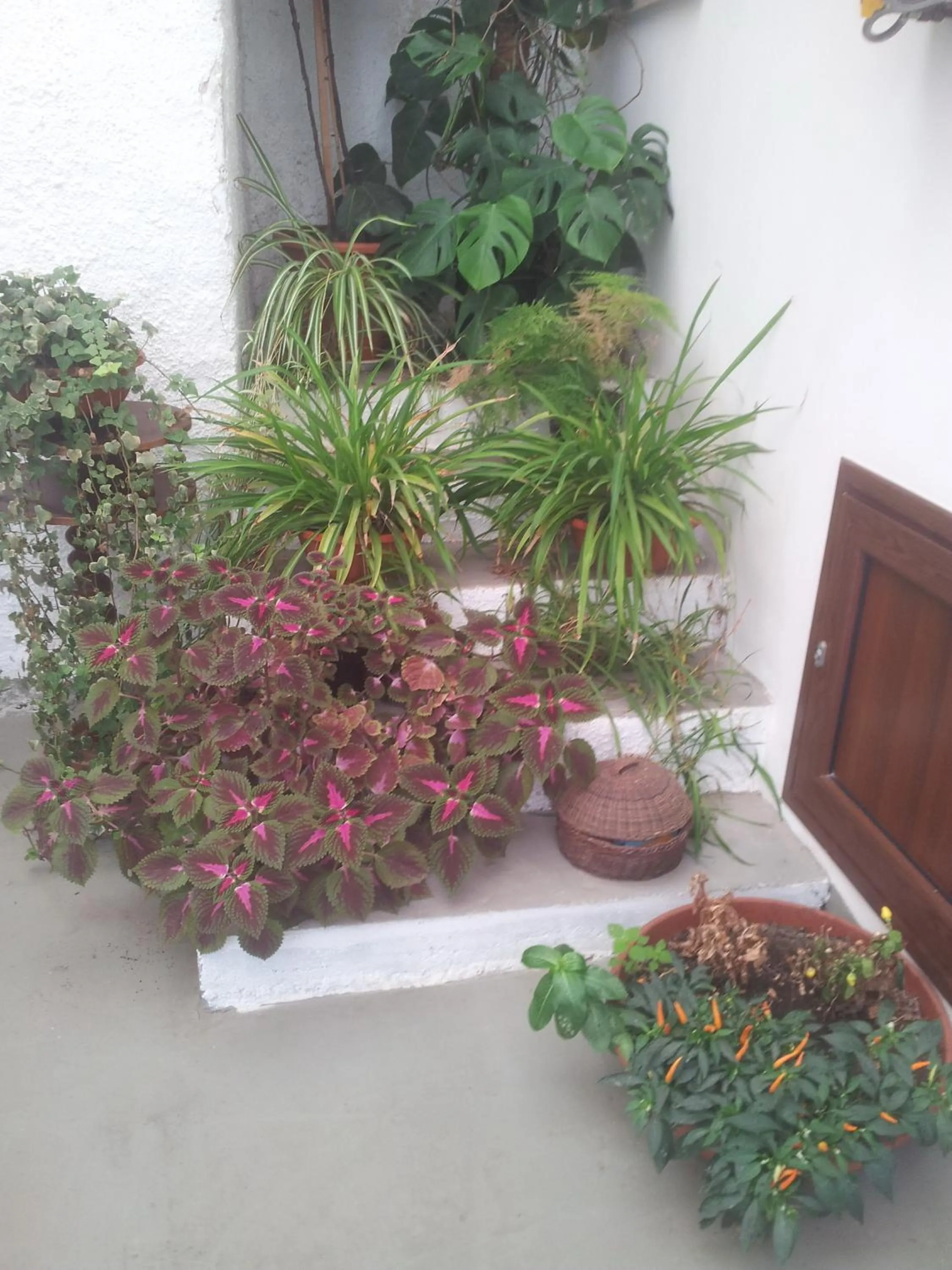 Decorative detail in B&B Da Matì