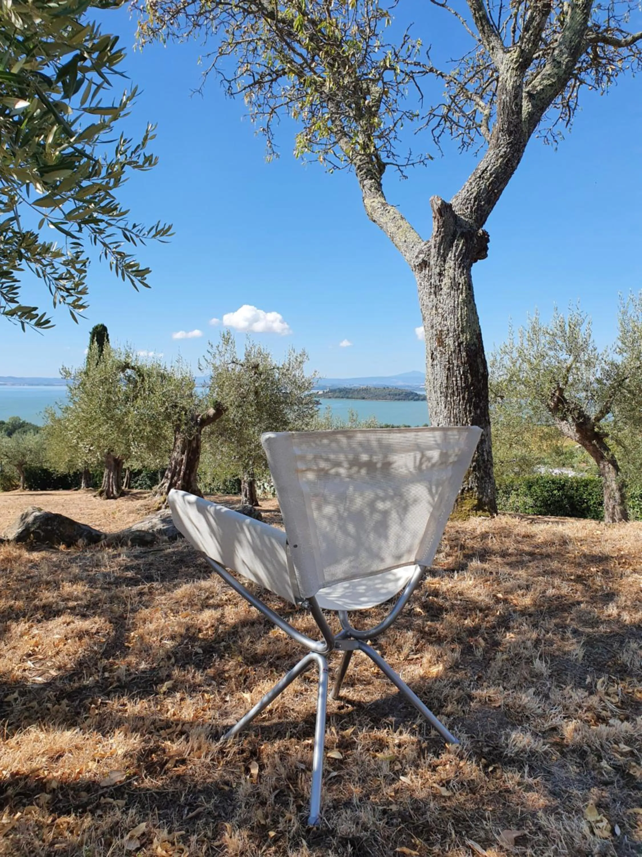 Garden in Antico Casale Tiravento