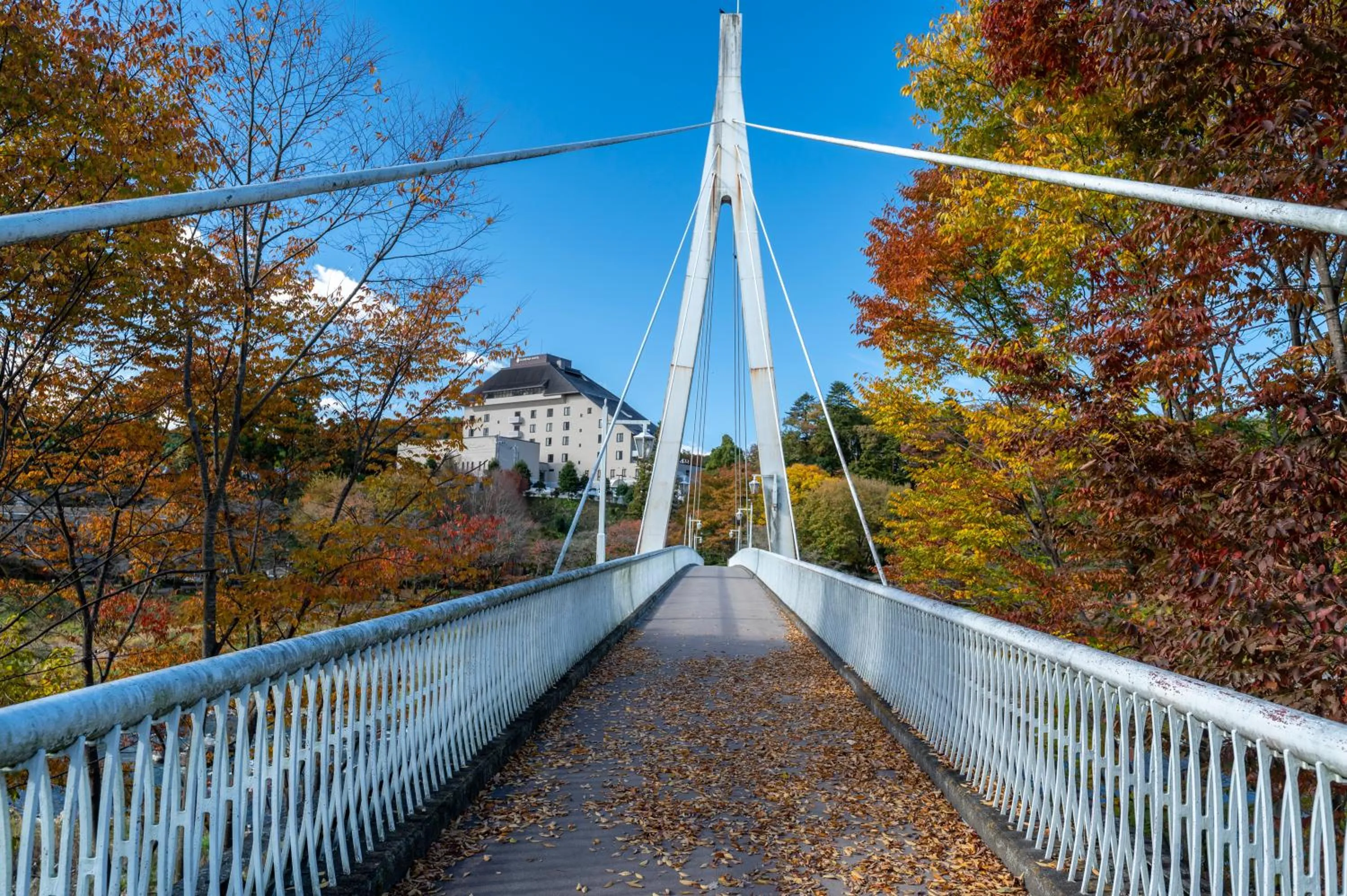 Off site in KAMENOI HOTEL Ome