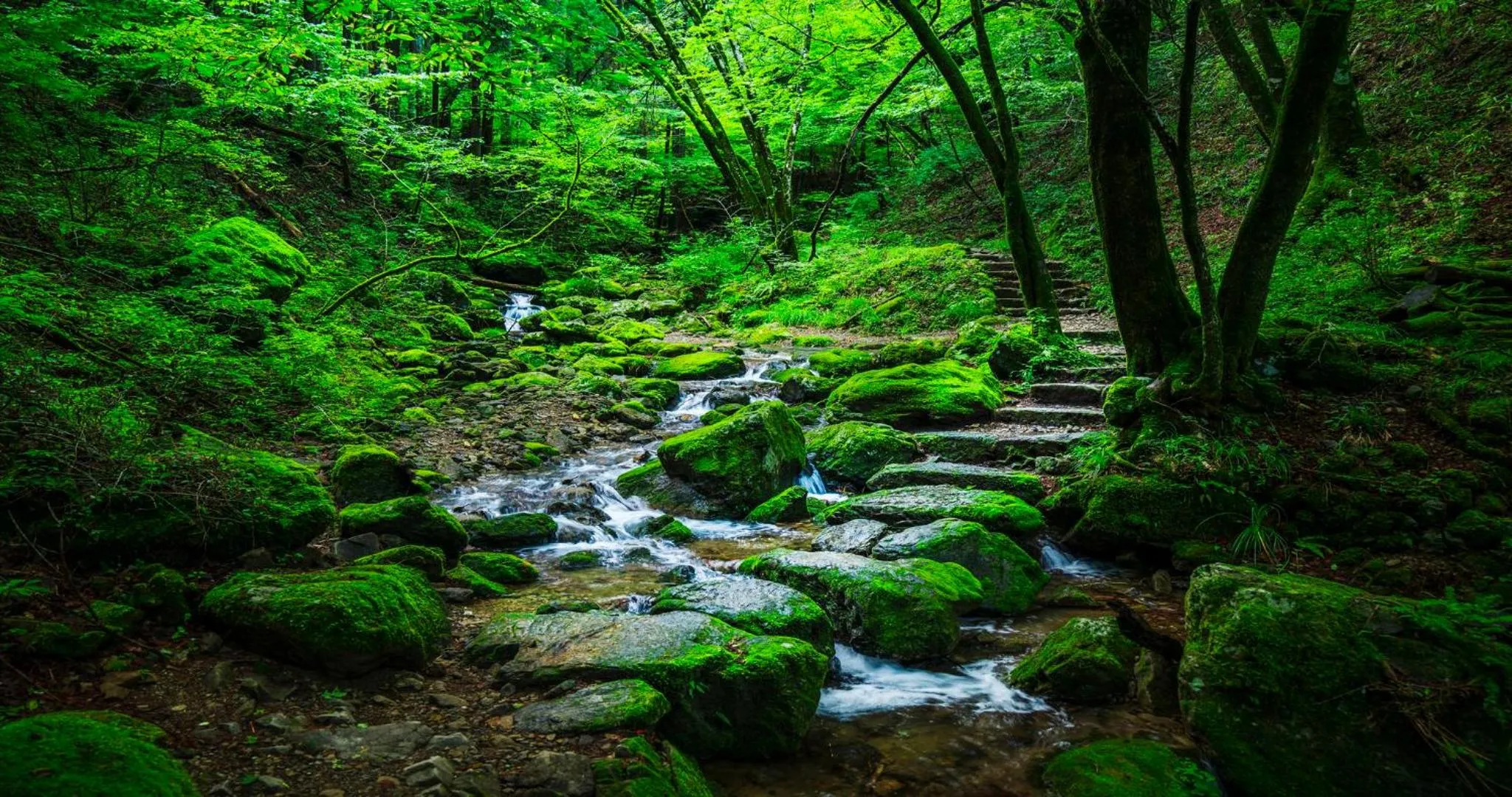 Nearby landmark in KAMENOI HOTEL Ome