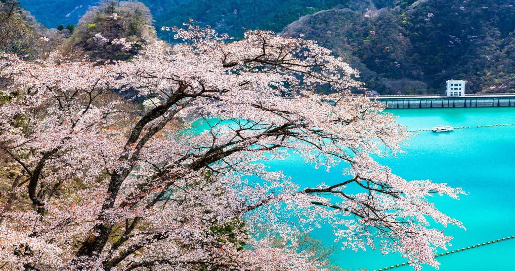 Nearby landmark in KAMENOI HOTEL Ome
