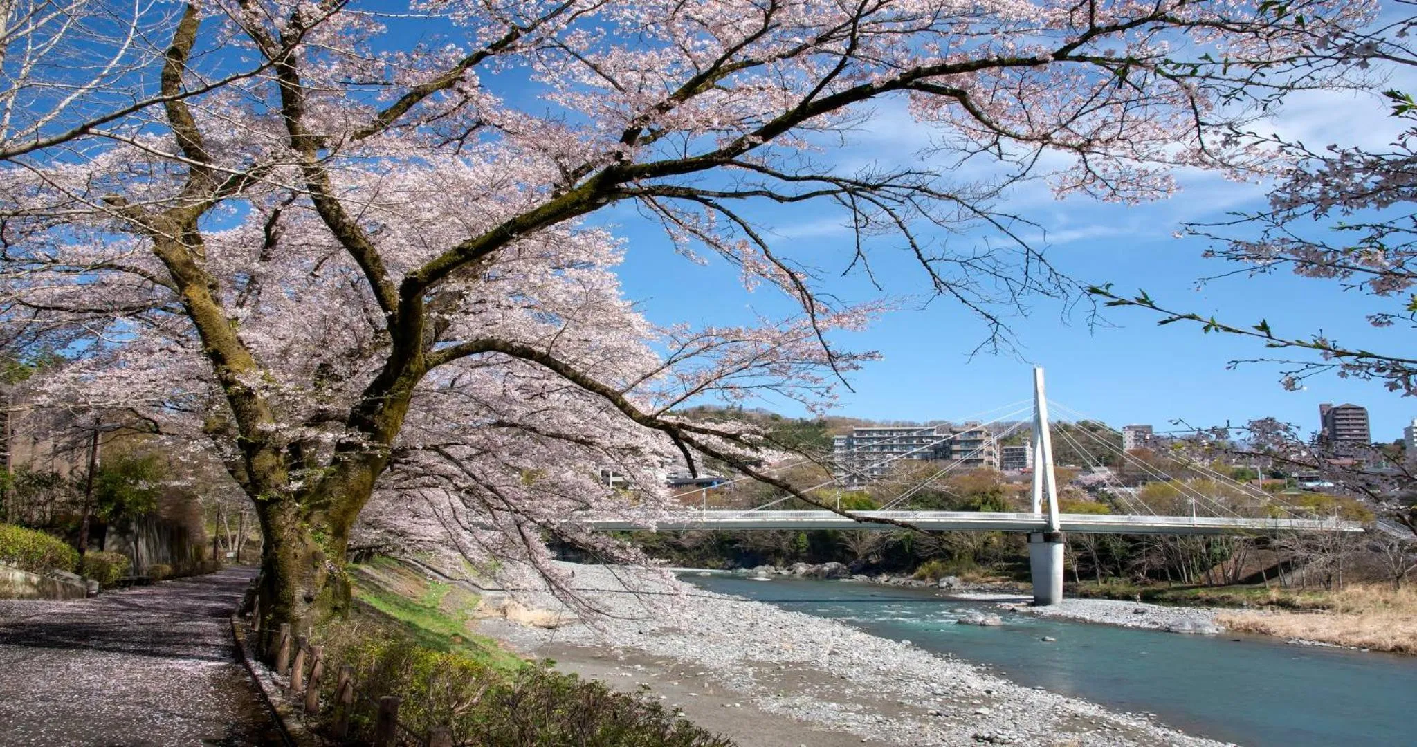 Nearby landmark in KAMENOI HOTEL Ome