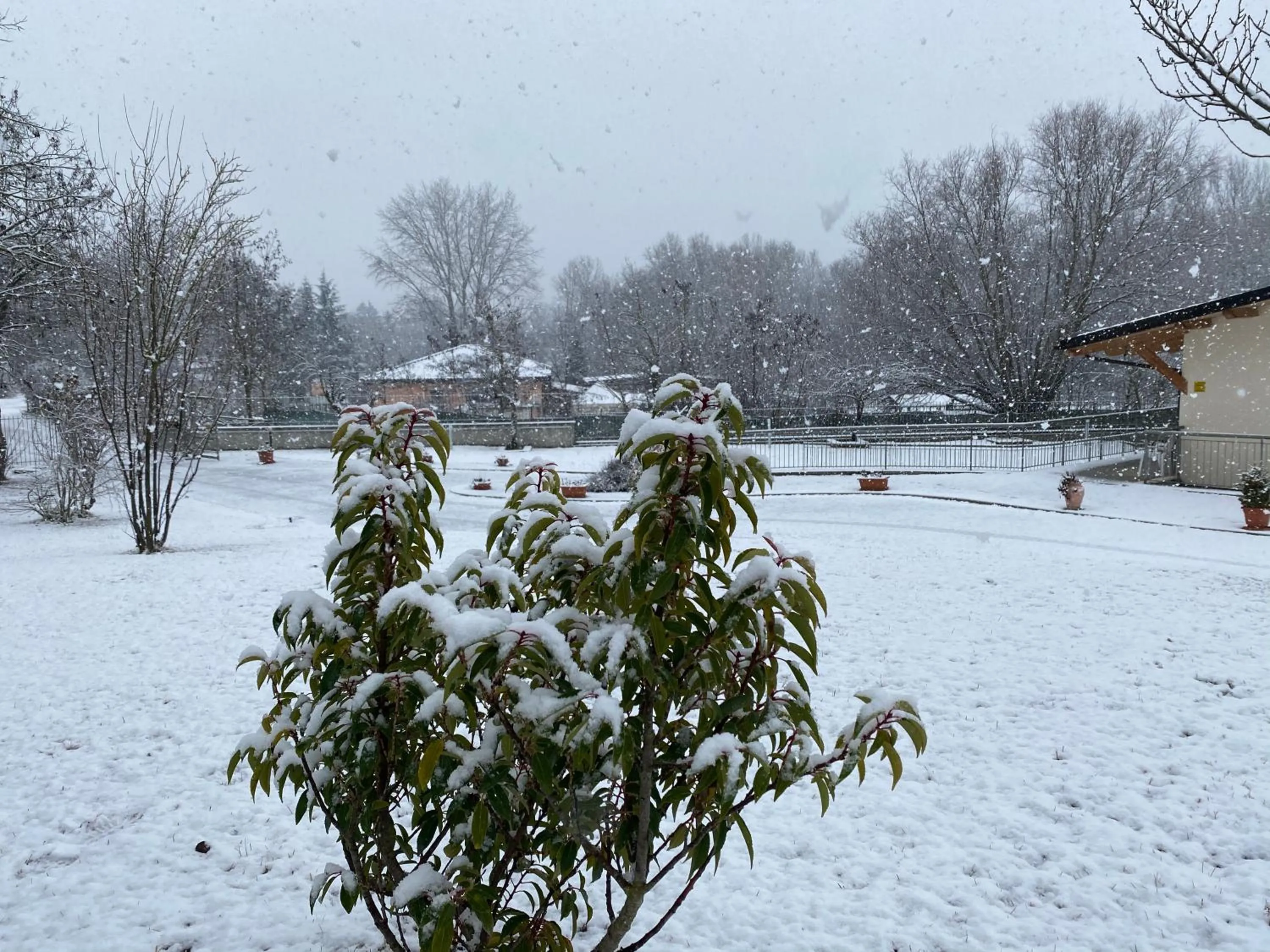 Natural landscape in B&B Oasi Vetoio