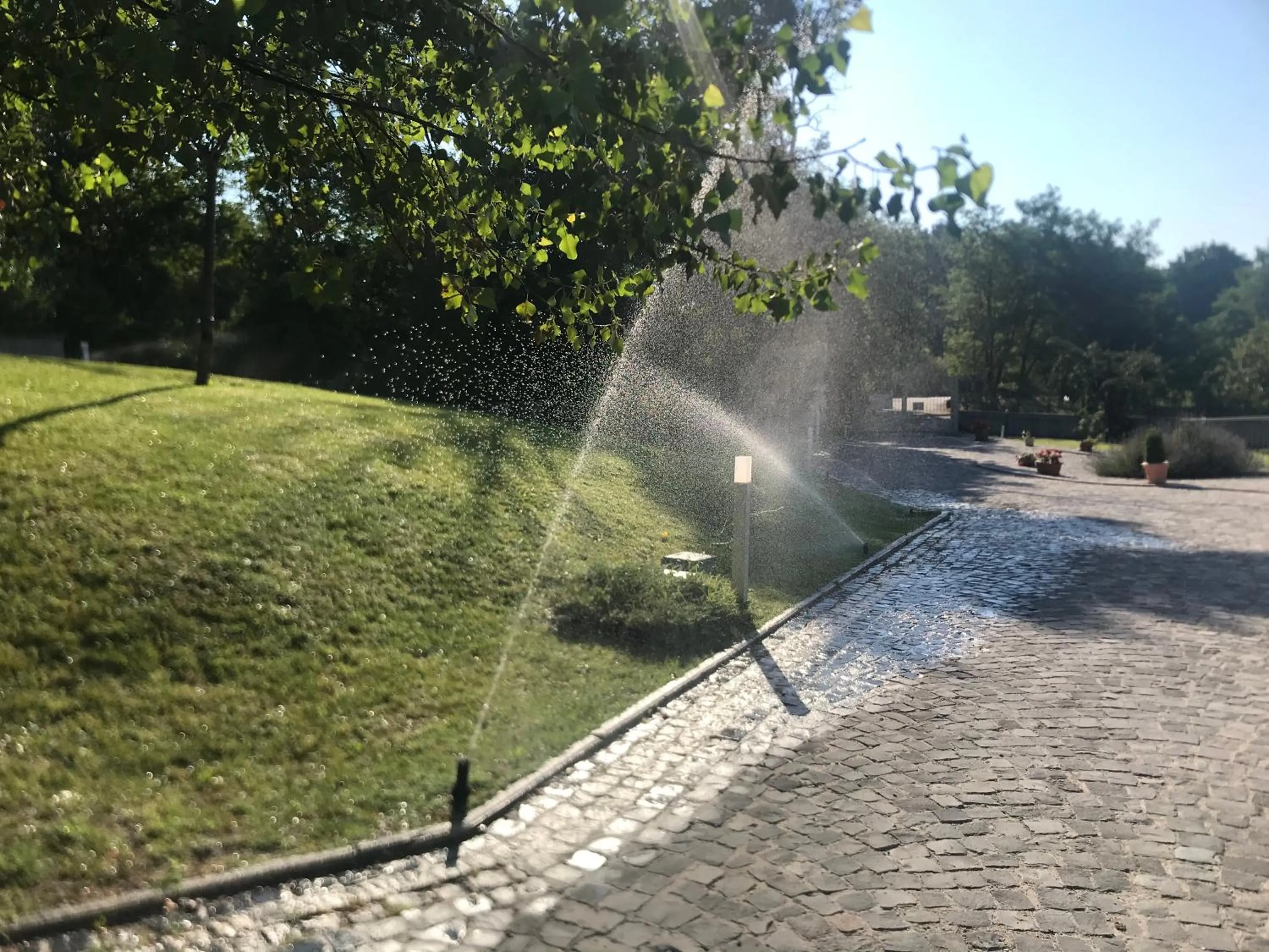 Garden in B&B Oasi Vetoio
