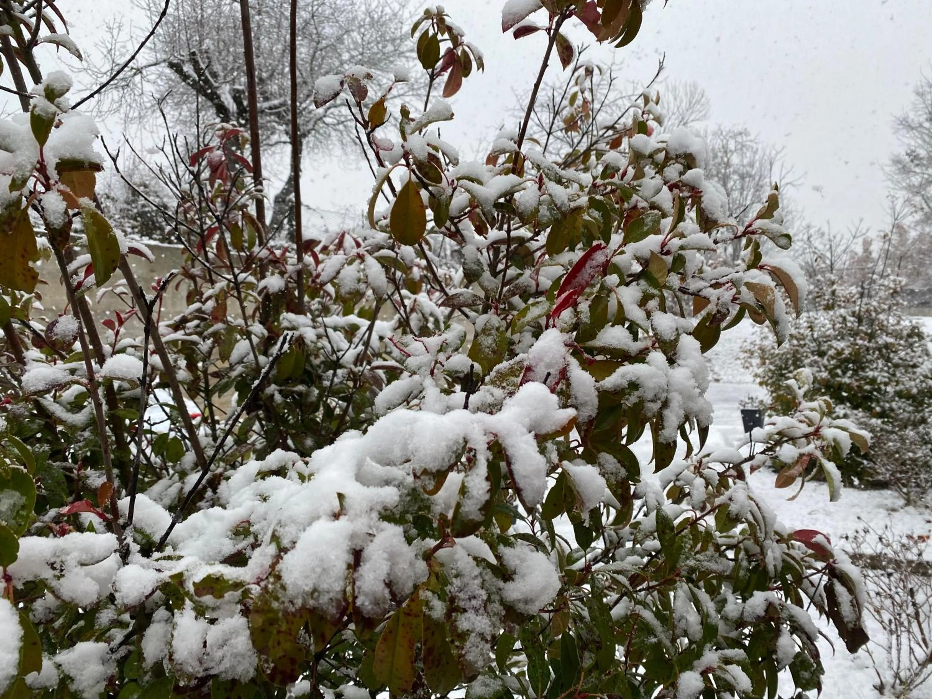 Natural landscape in B&B Oasi Vetoio