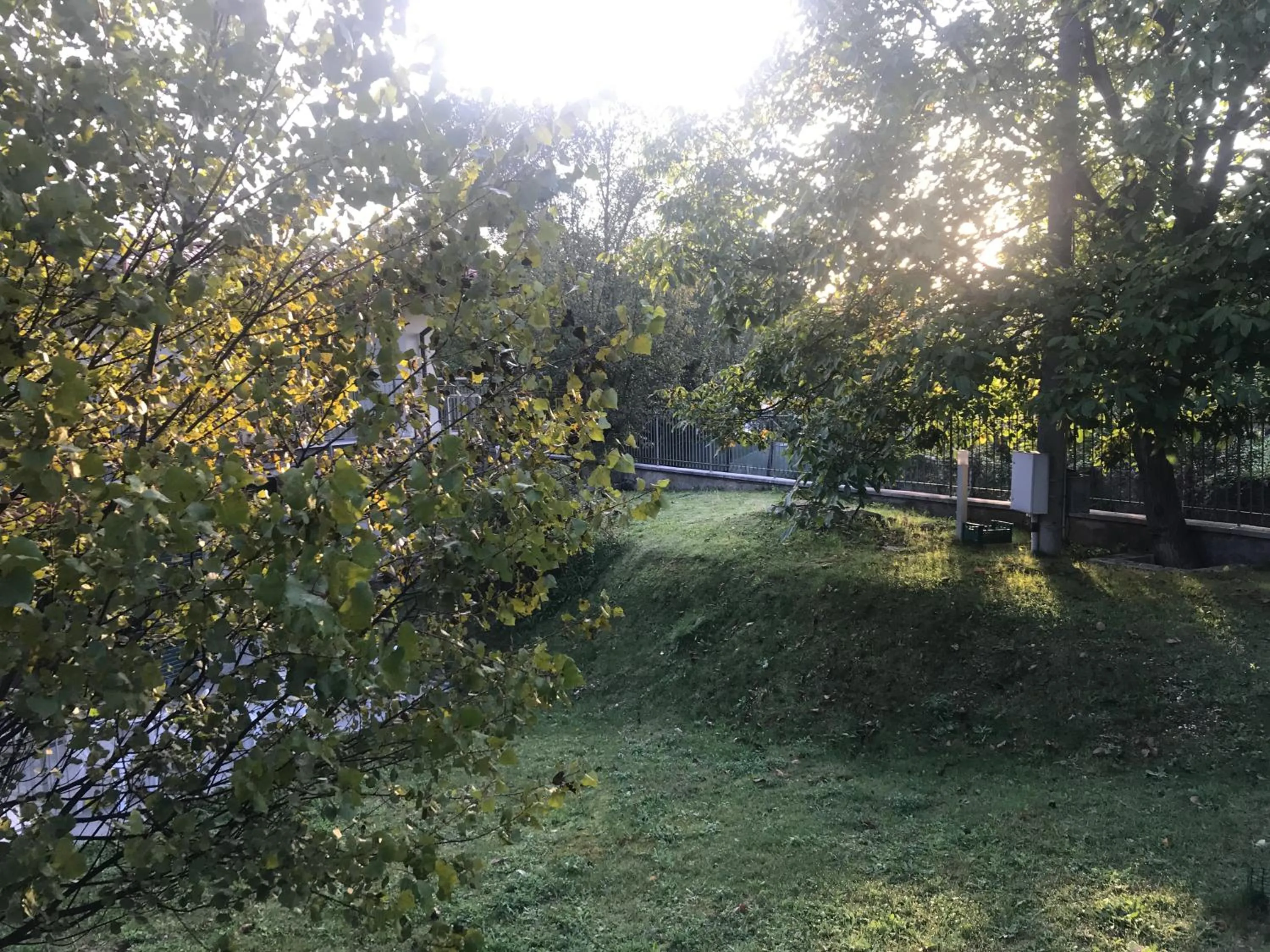 Garden in B&B Oasi Vetoio