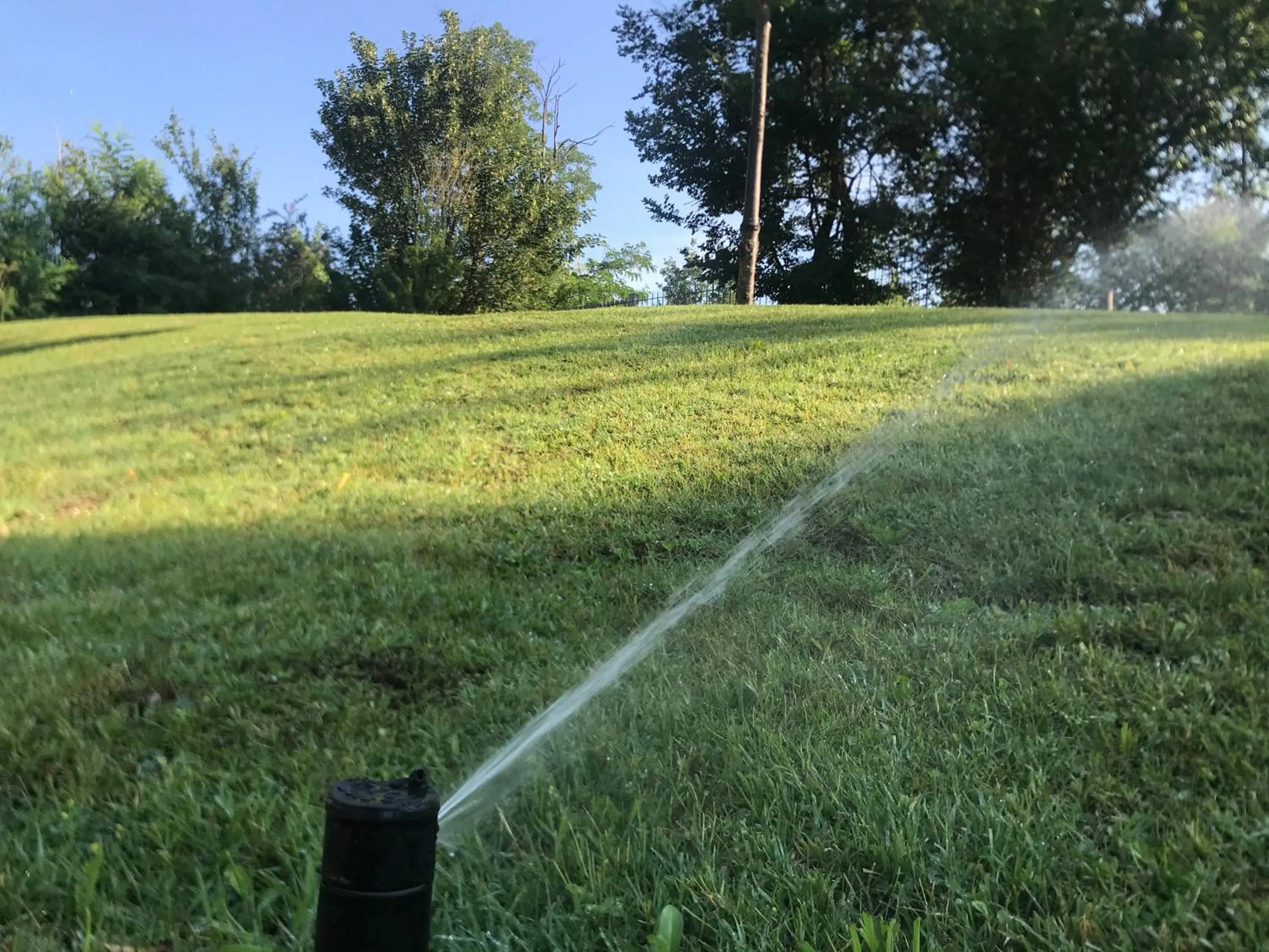 Garden in B&B Oasi Vetoio