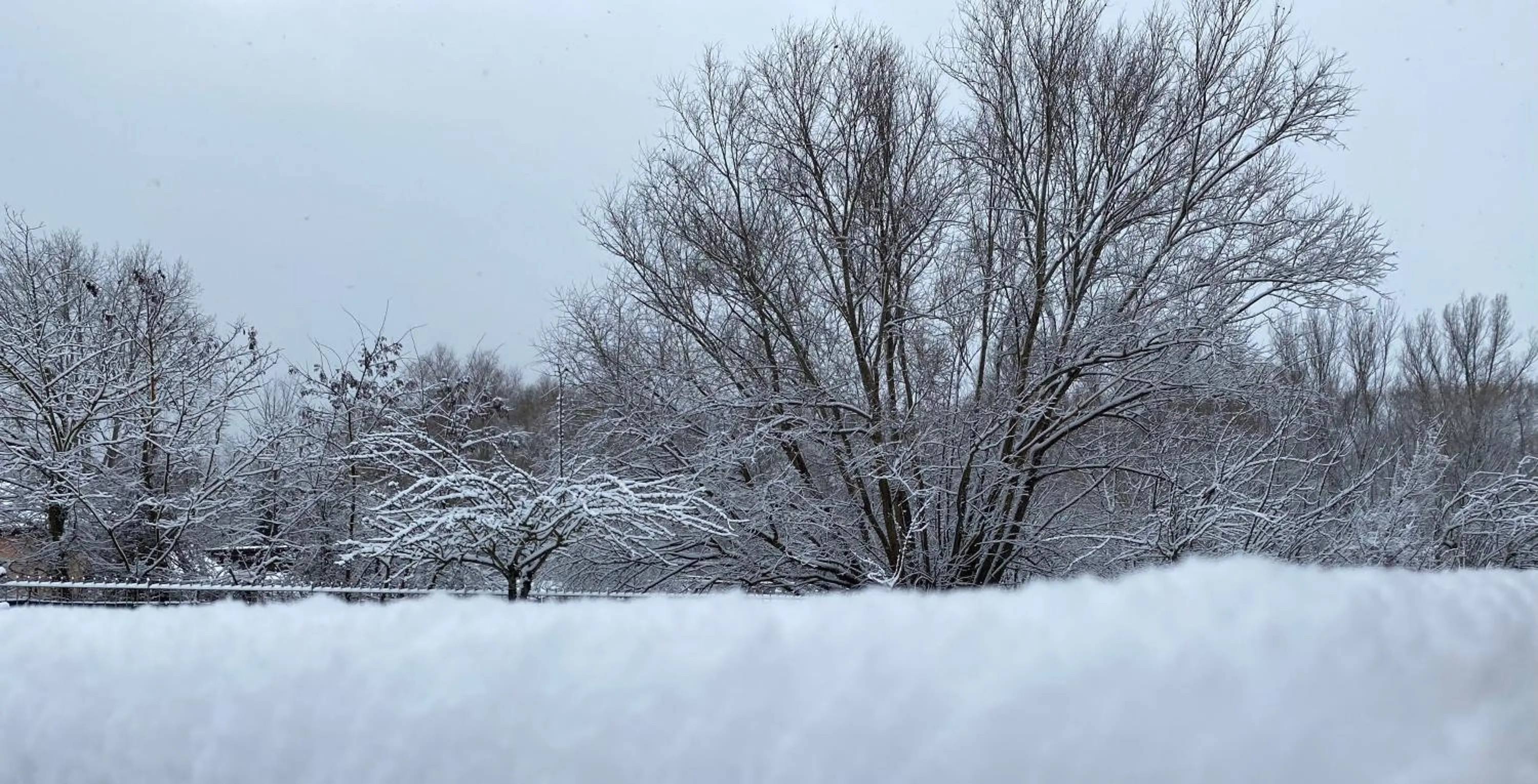 Natural landscape in B&B Oasi Vetoio
