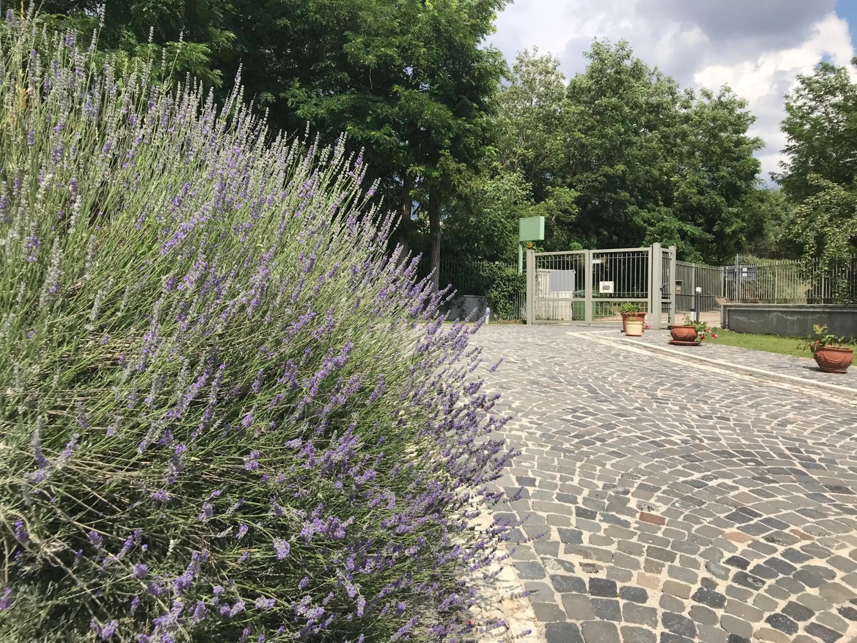 Garden in B&B Oasi Vetoio