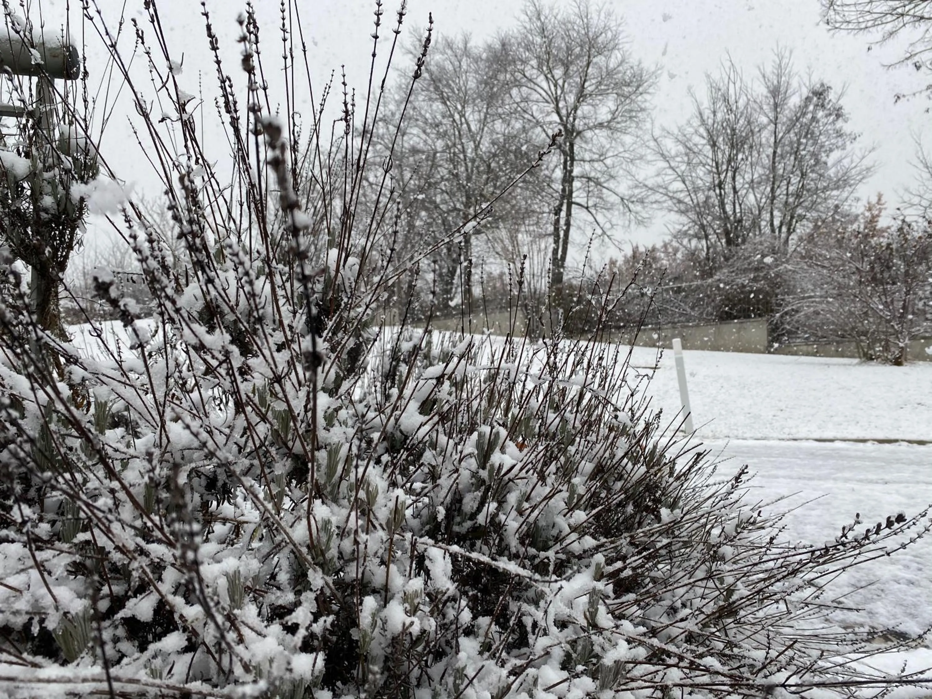 Natural landscape in B&B Oasi Vetoio