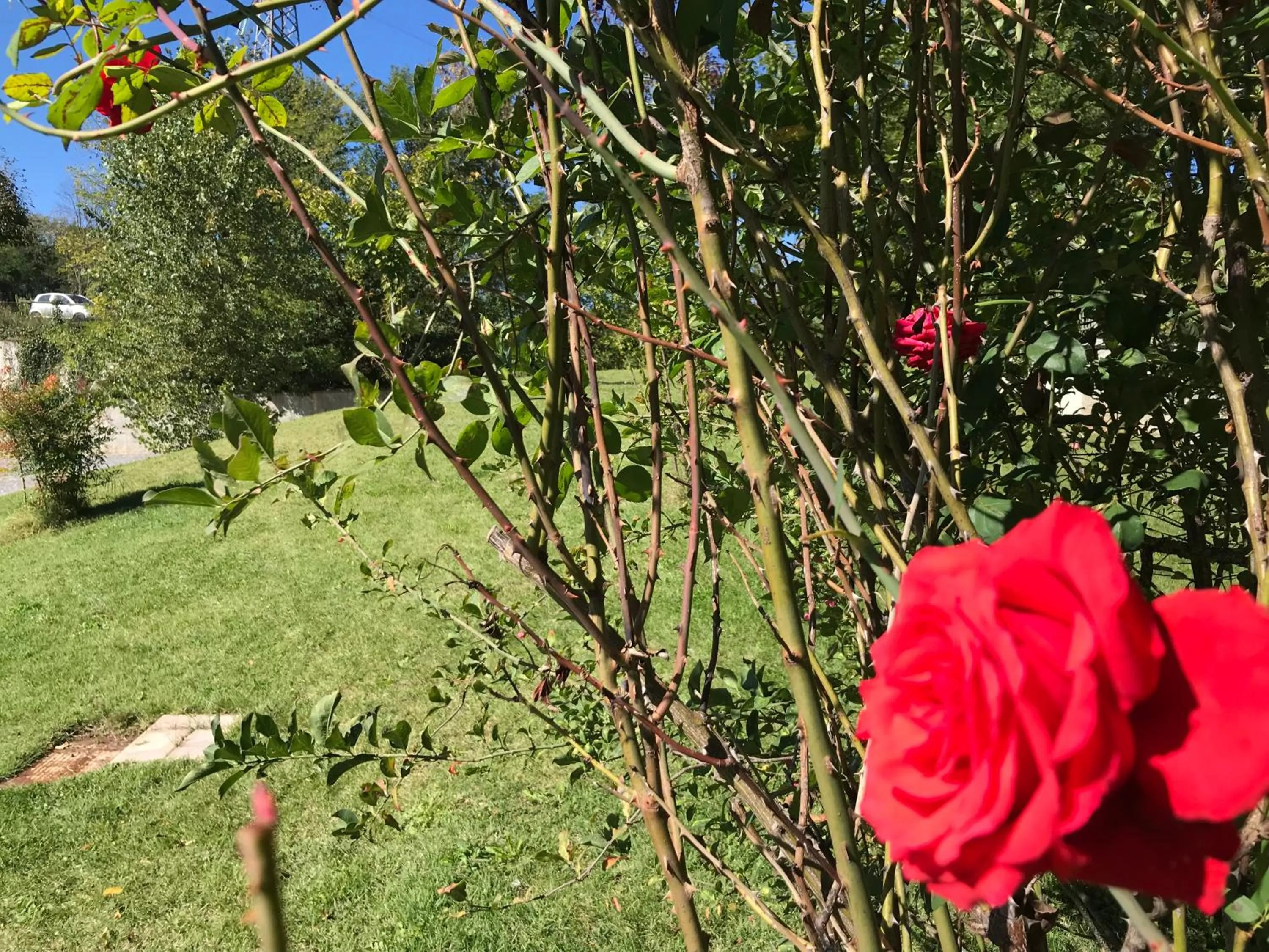 Garden in B&B Oasi Vetoio