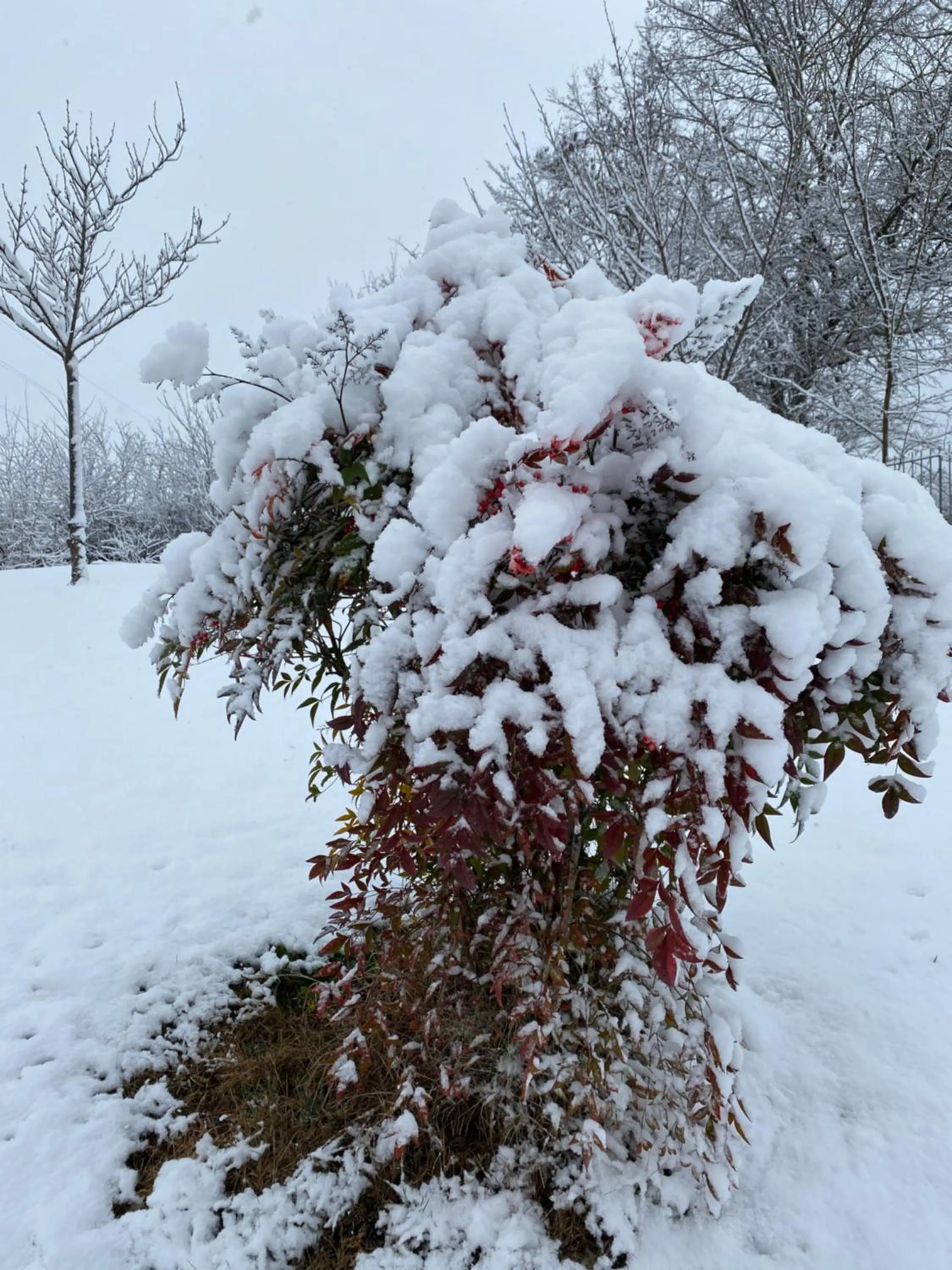 Winter in B&B Oasi Vetoio