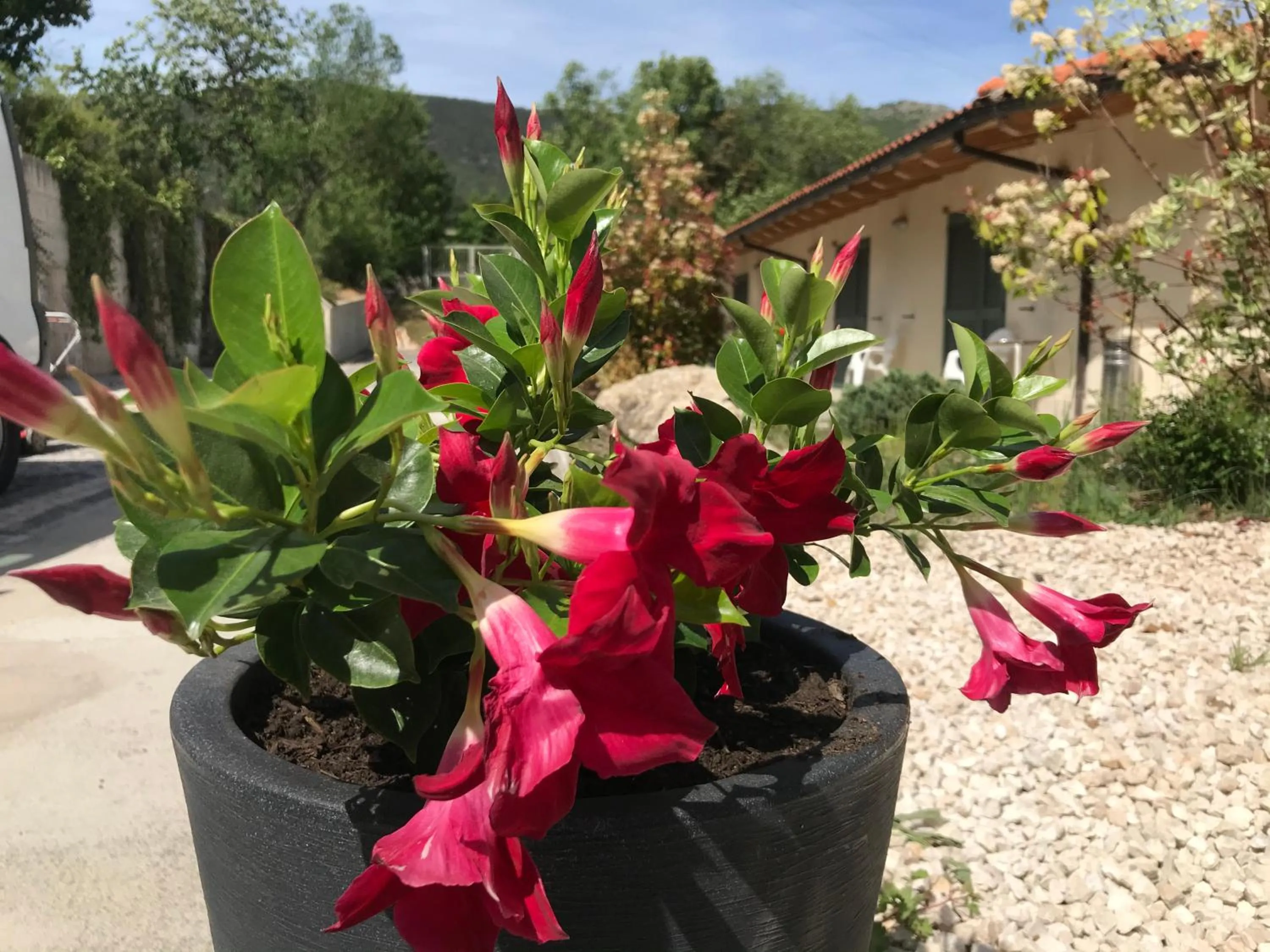 Decorative detail in B&B Oasi Vetoio