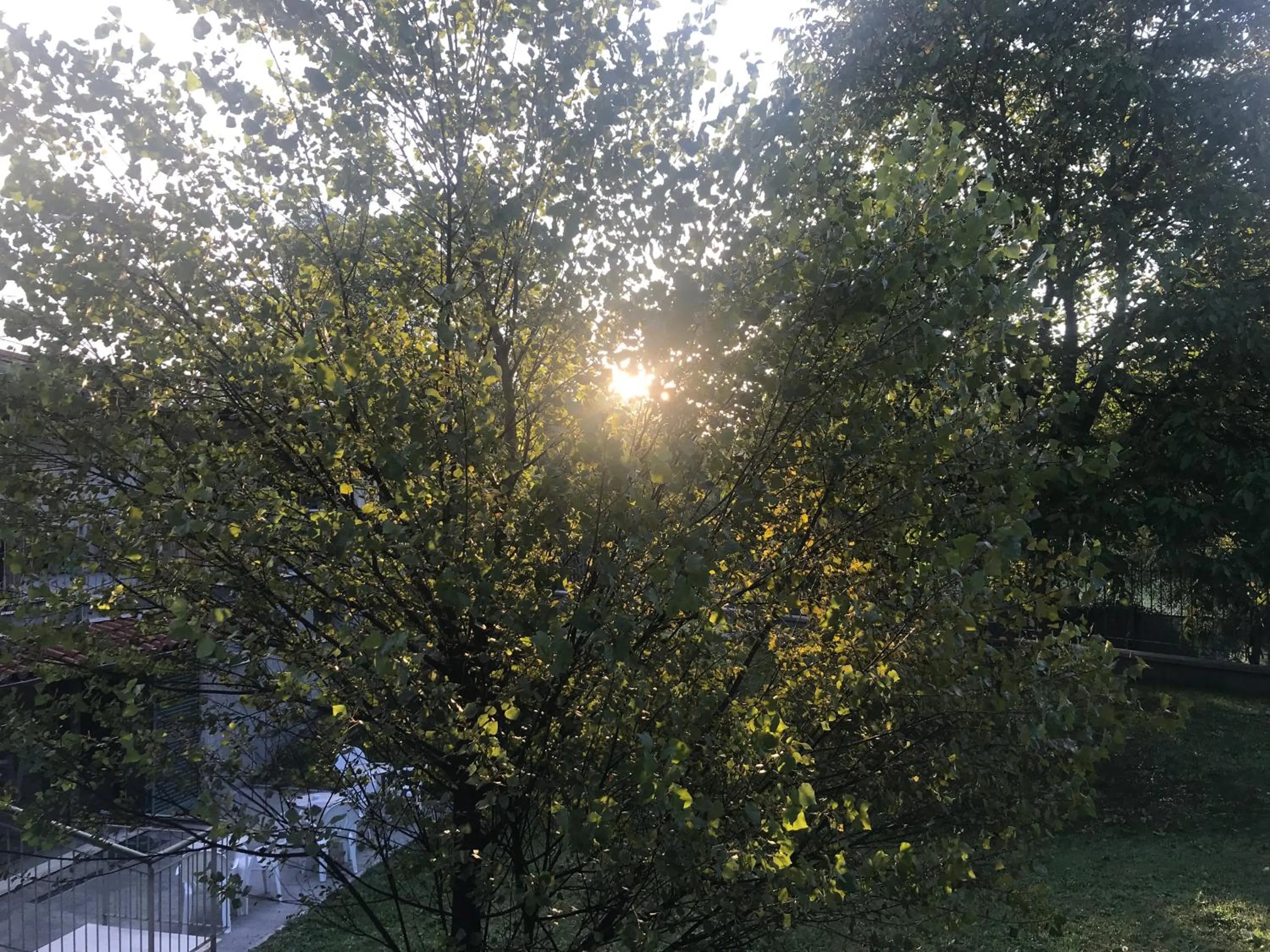 Garden in B&B Oasi Vetoio