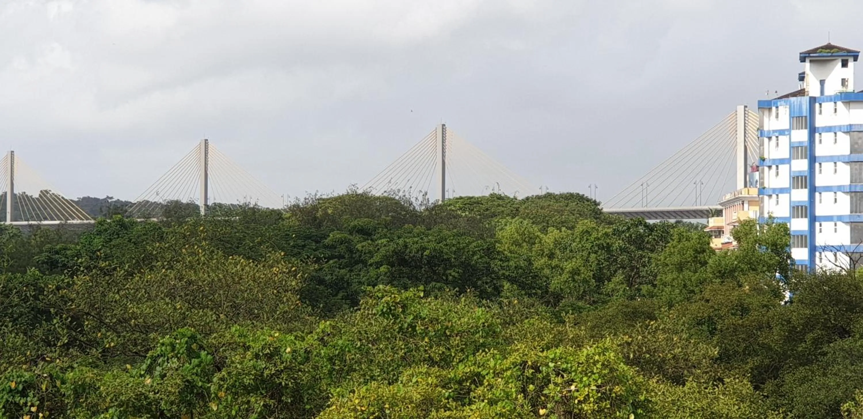 City view in Ria Residency