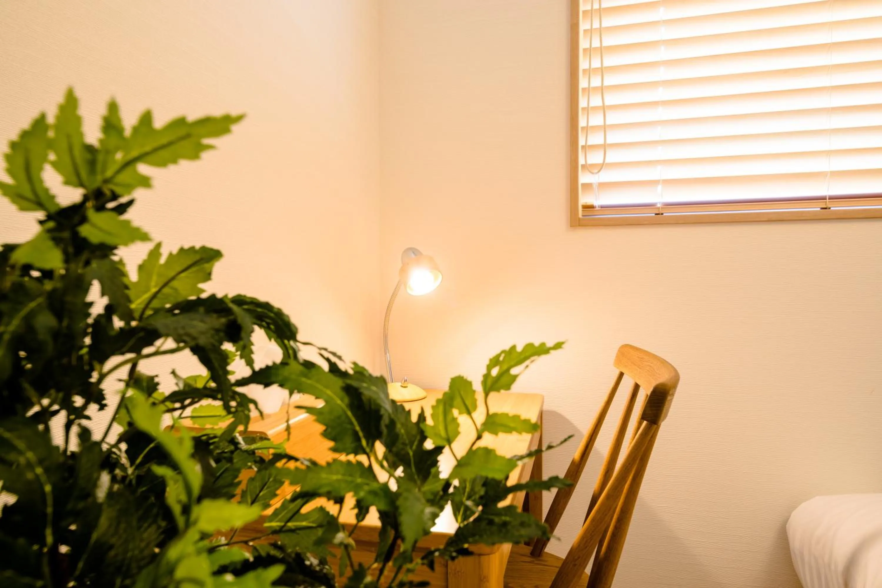 Photo of the whole room in FUJI-AKATSUKI Enn