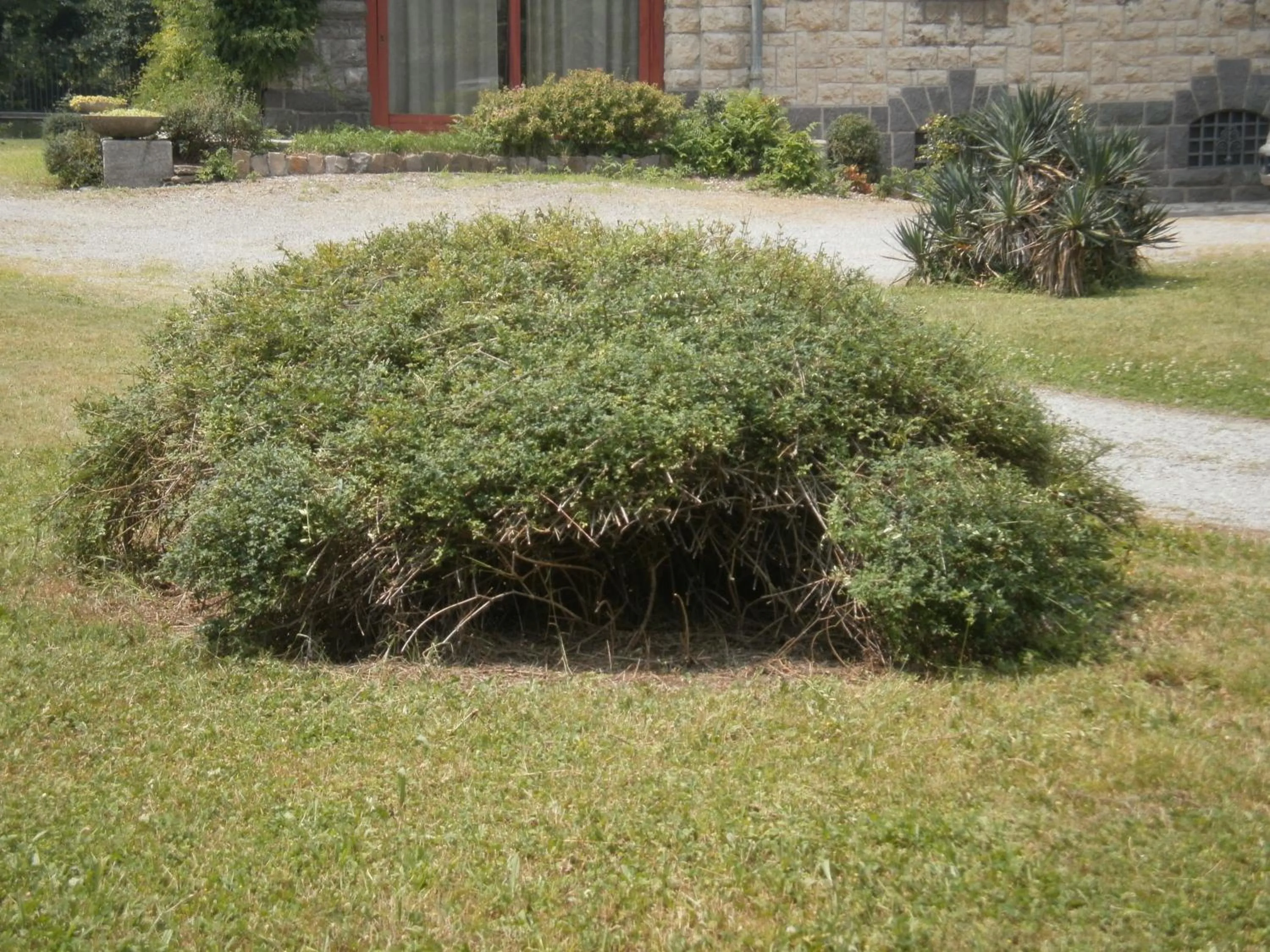 Garden in Albergo Villa & Roma