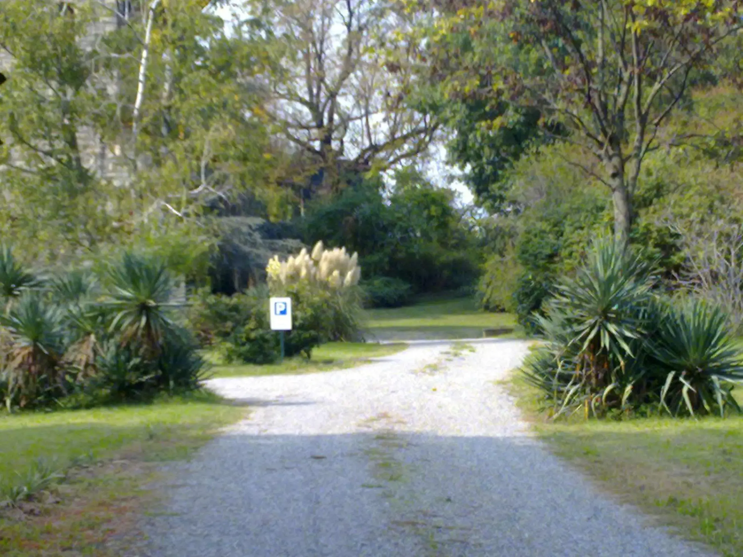 Day in Albergo Villa & Roma Day in Albergo Villa & Roma