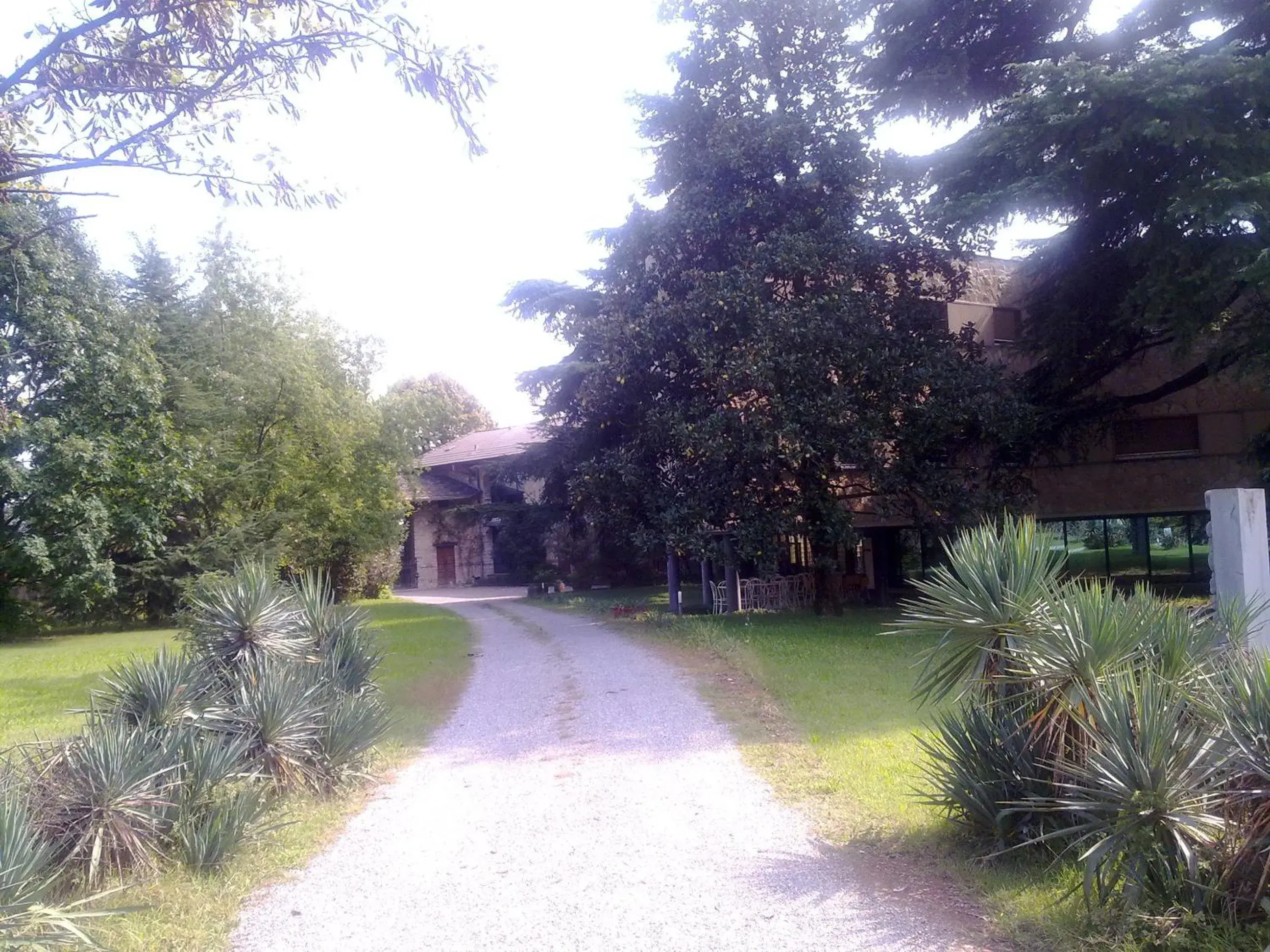 Facade/entrance in Albergo Villa & Roma Facade/entrance in Albergo Villa & Roma