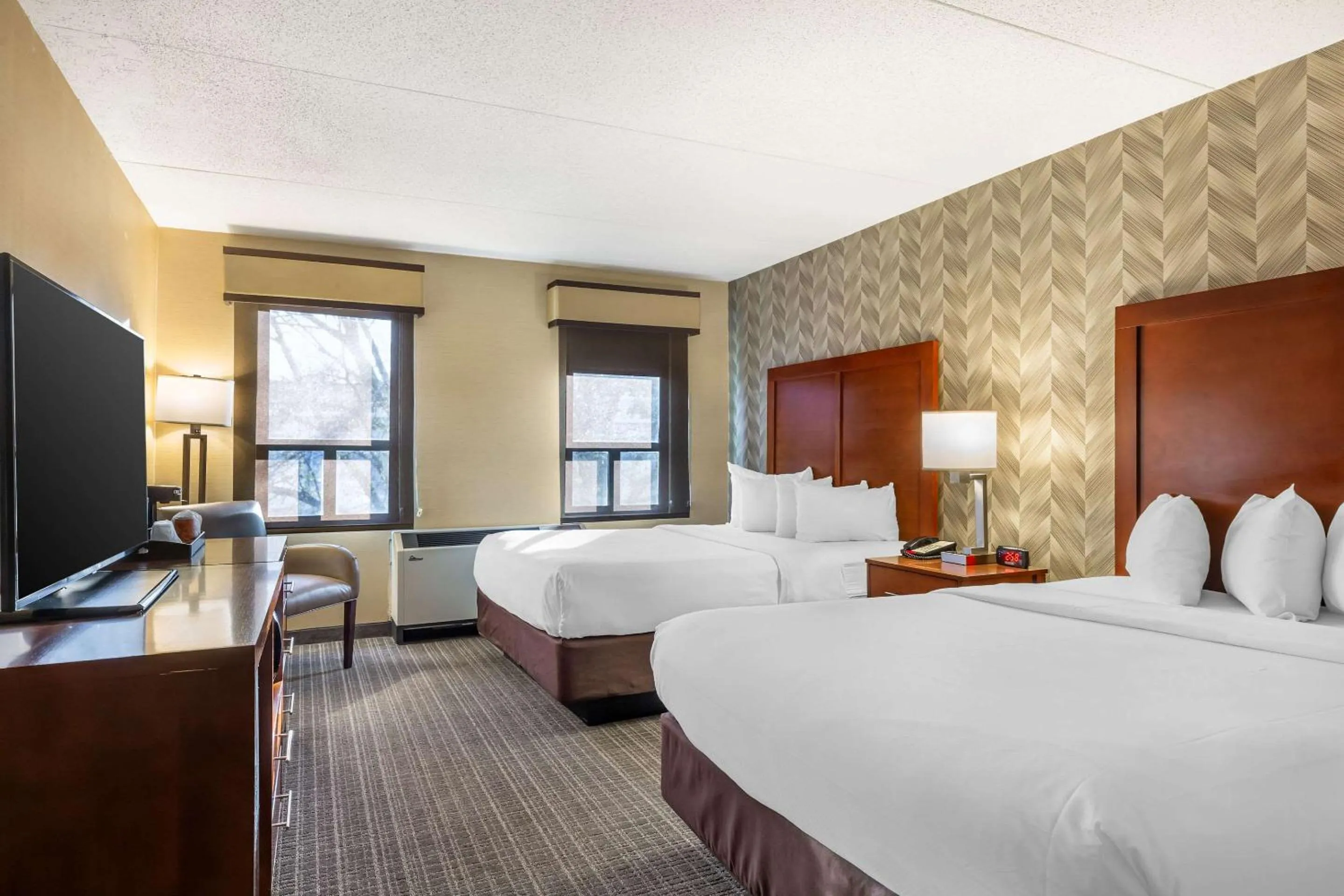 Bedroom, Bed in Comfort Inn & Suites Logan International Airport