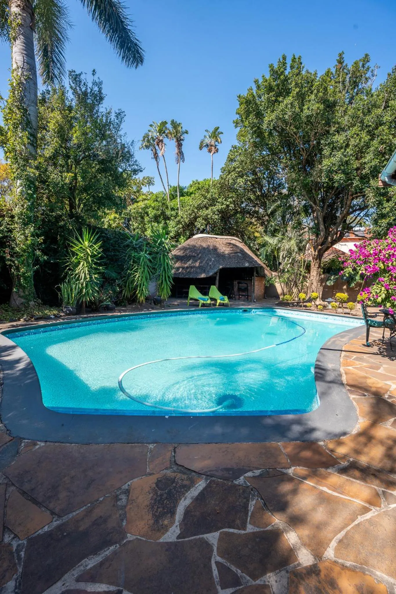 Pool view in Palm Tree Manor