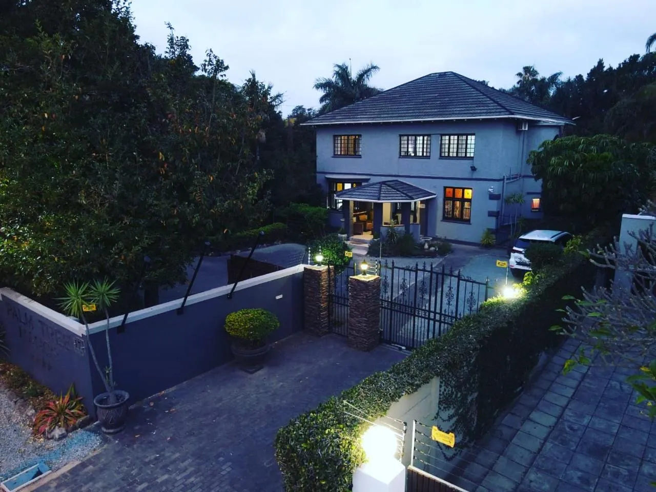 Bird's eye view in Palm Tree Manor