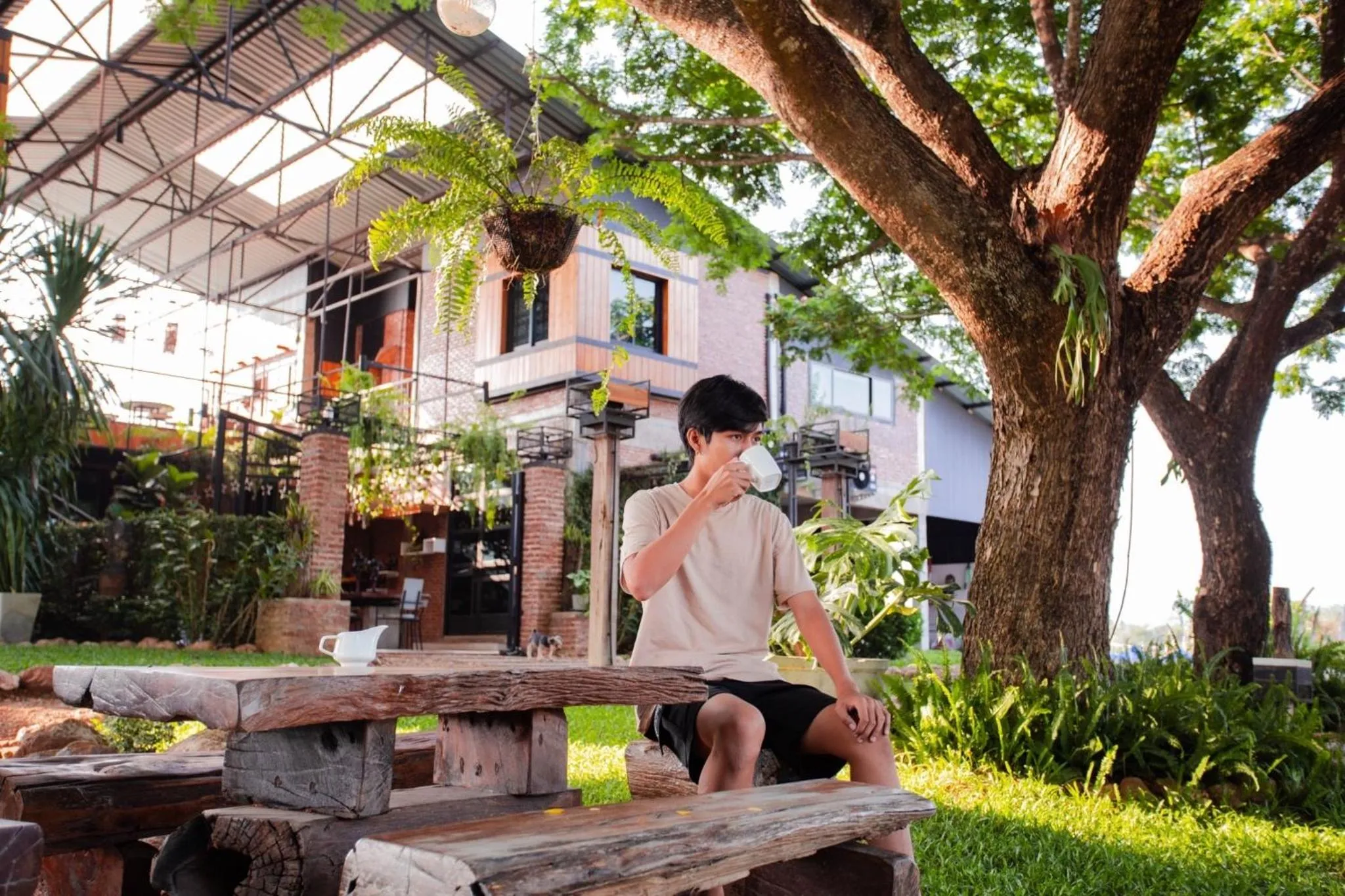 Restaurant/places to eat in SuanGlangNa