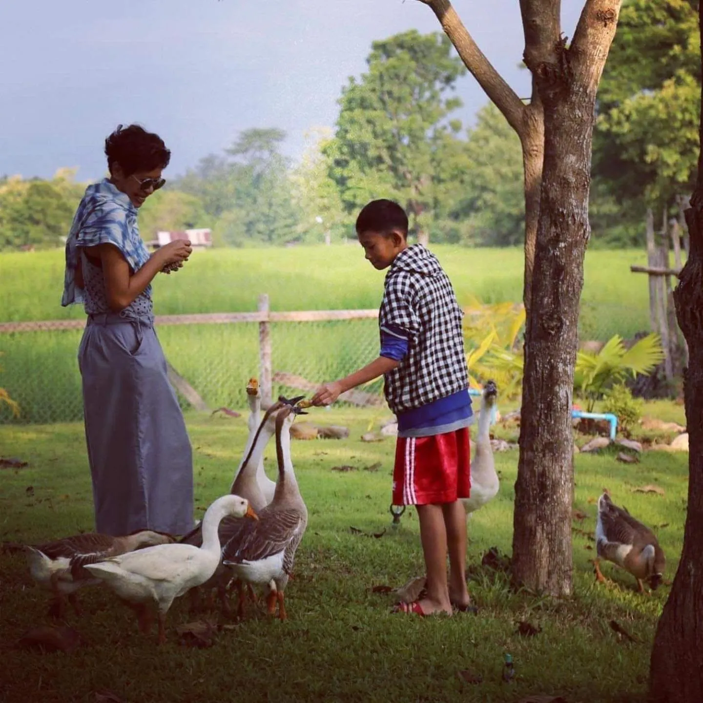 Garden in SuanGlangNa