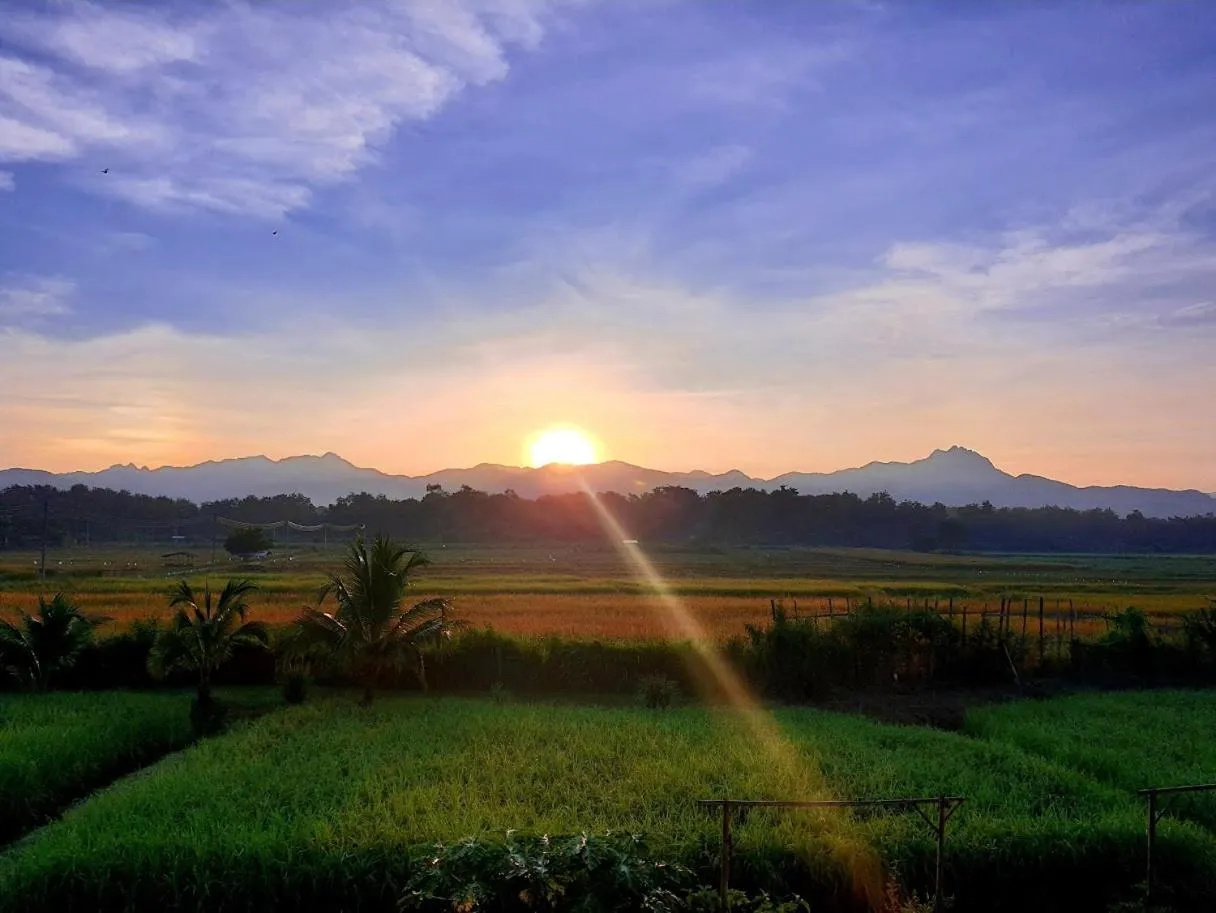 Standard Double Room in SuanGlangNa