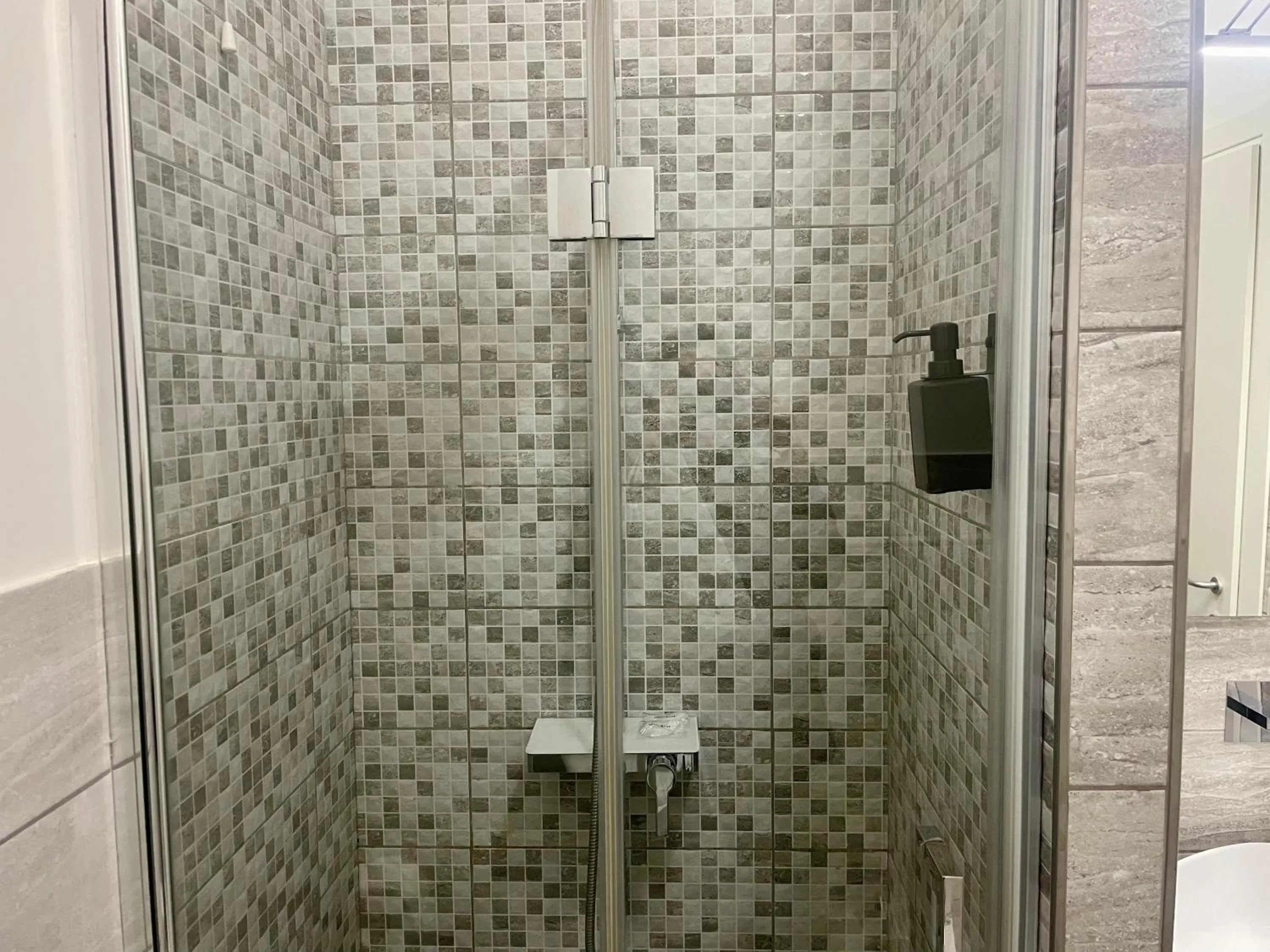 Shower in Sophia Boutique Home