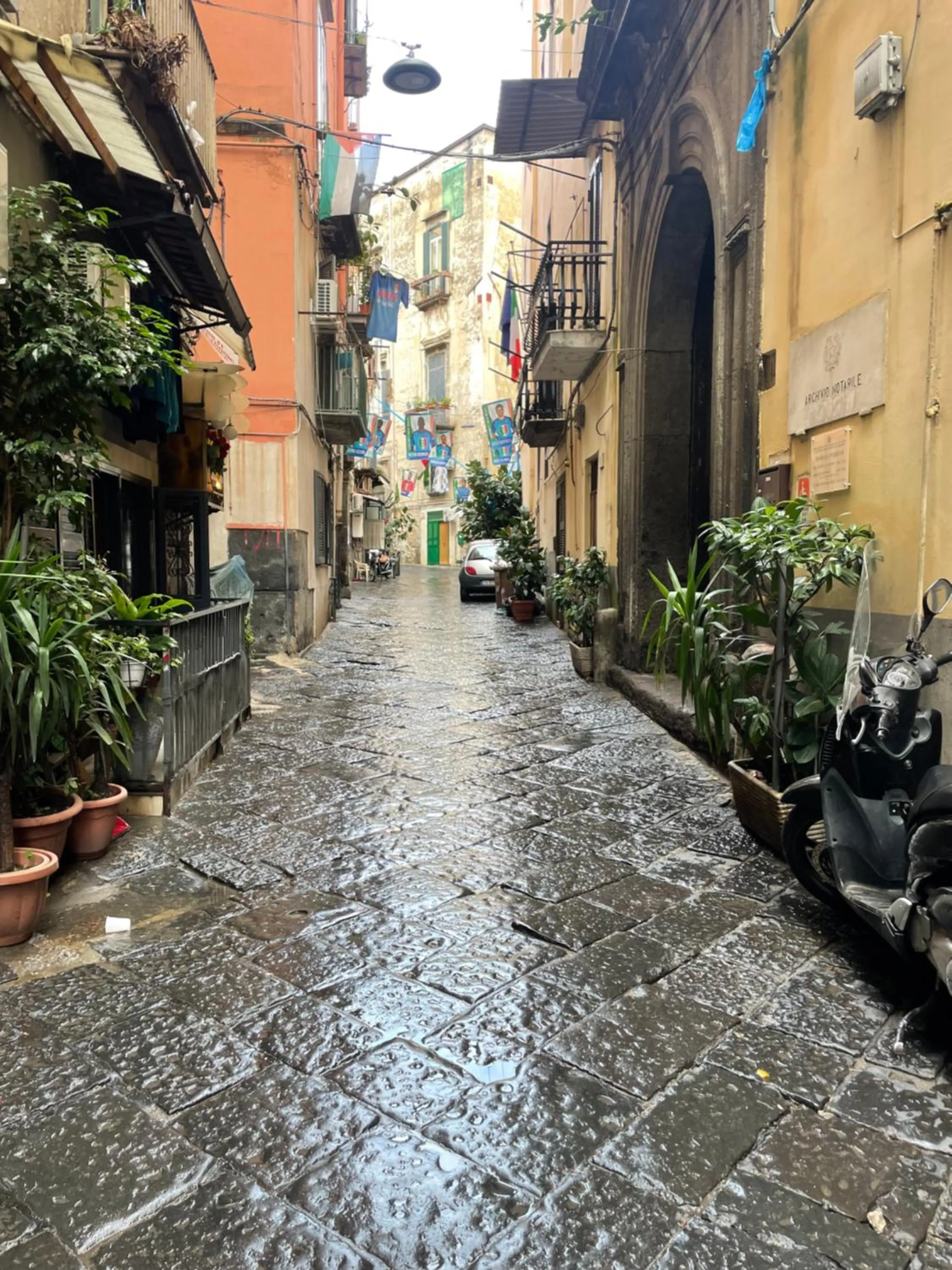 Neighbourhood in Sophia Boutique Home