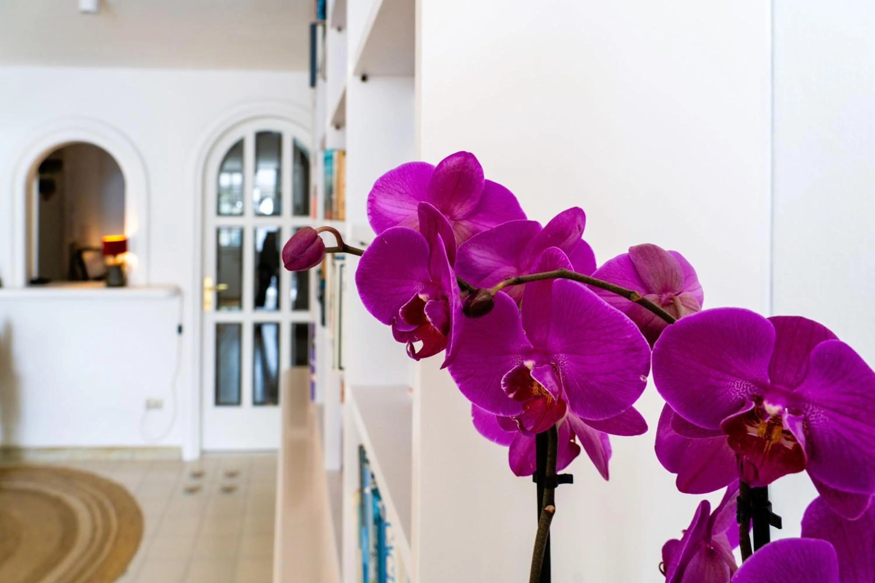 Library in Villa Ravino Secret Retreat