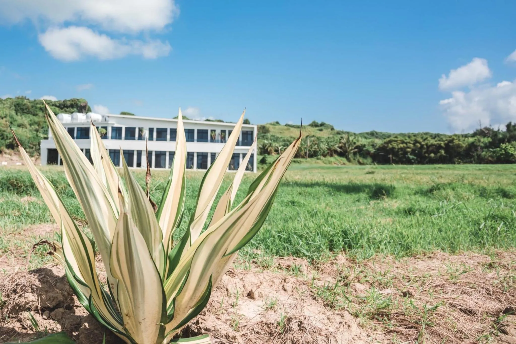 Natural landscape in Cloud 9 Panorama