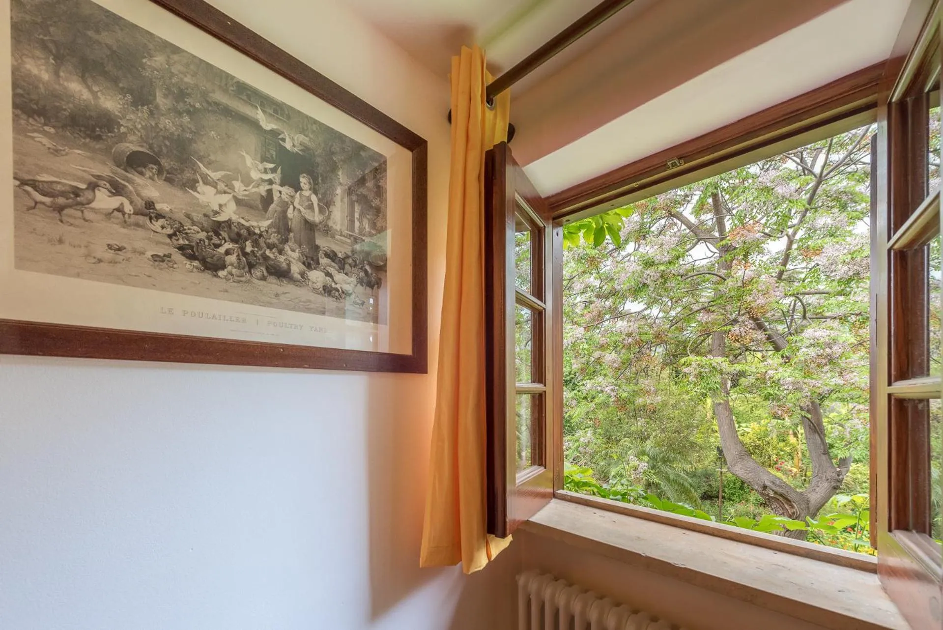 Garden view in Il Glicine La Piana dei Colli