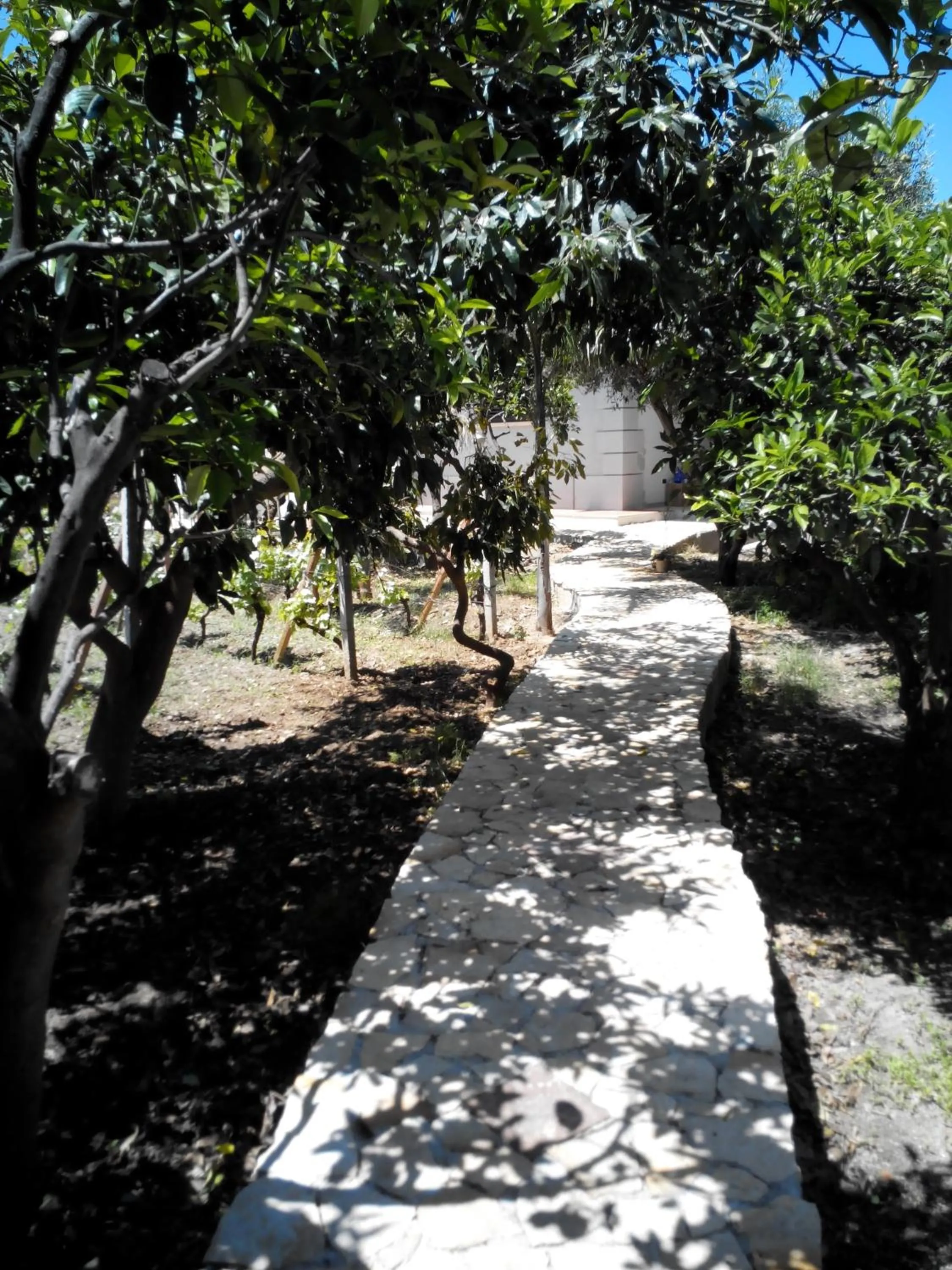 Garden in Casantica Turismo Rurale