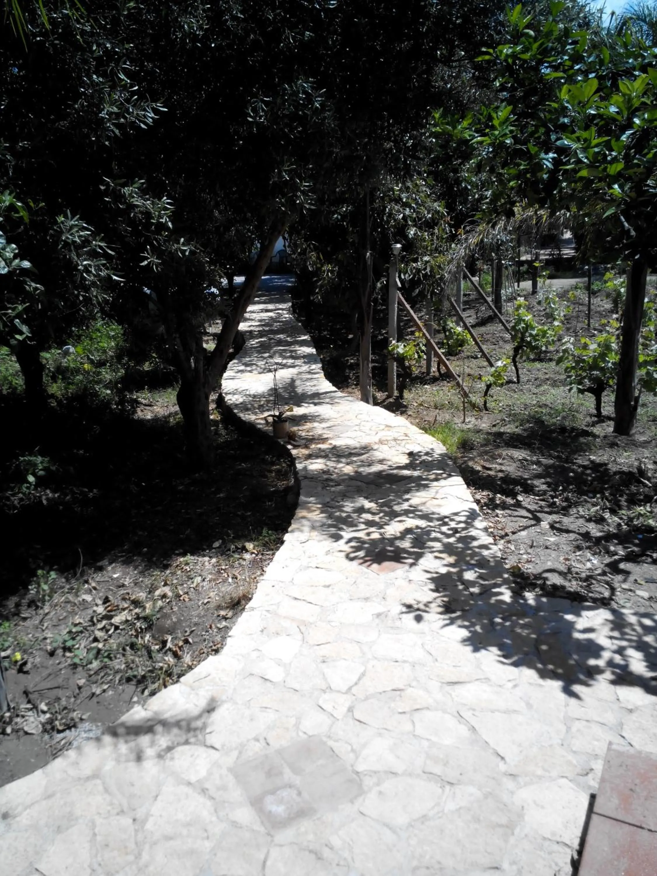 Garden in Casantica Turismo Rurale