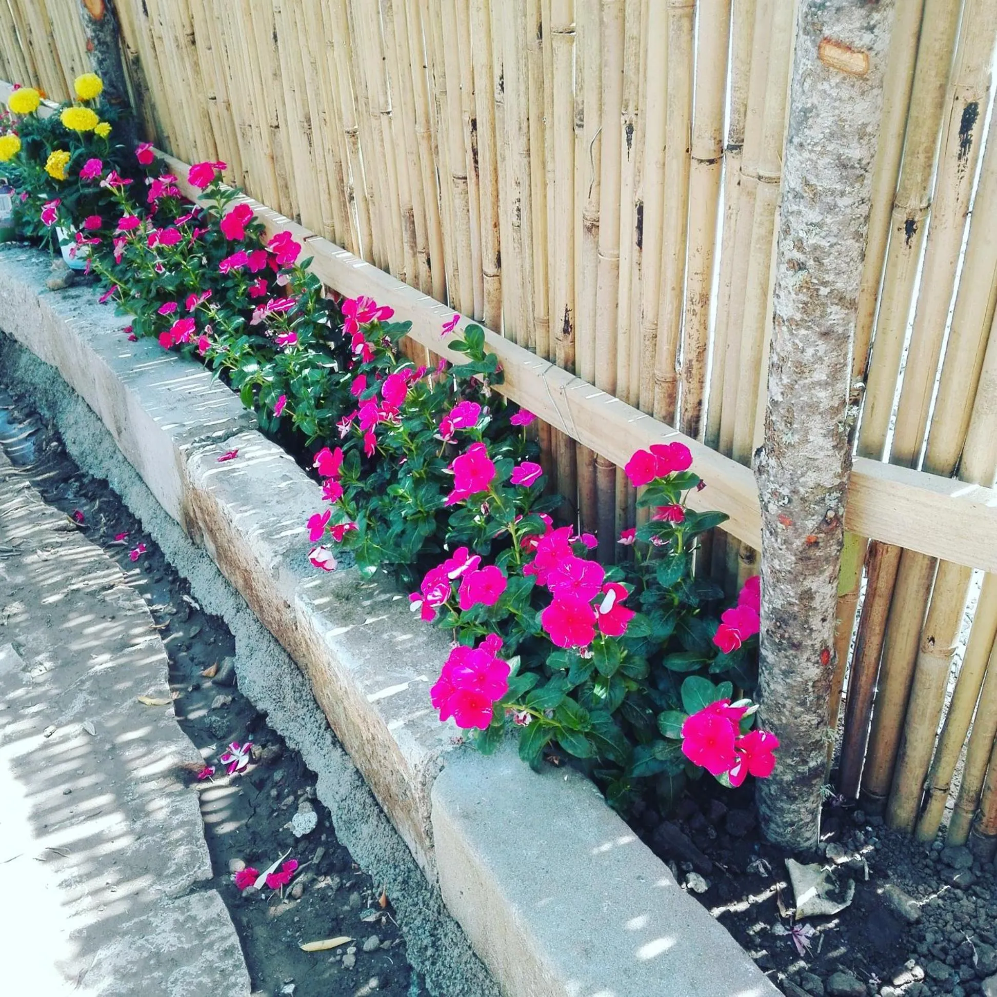 Casantica Turismo Rurale