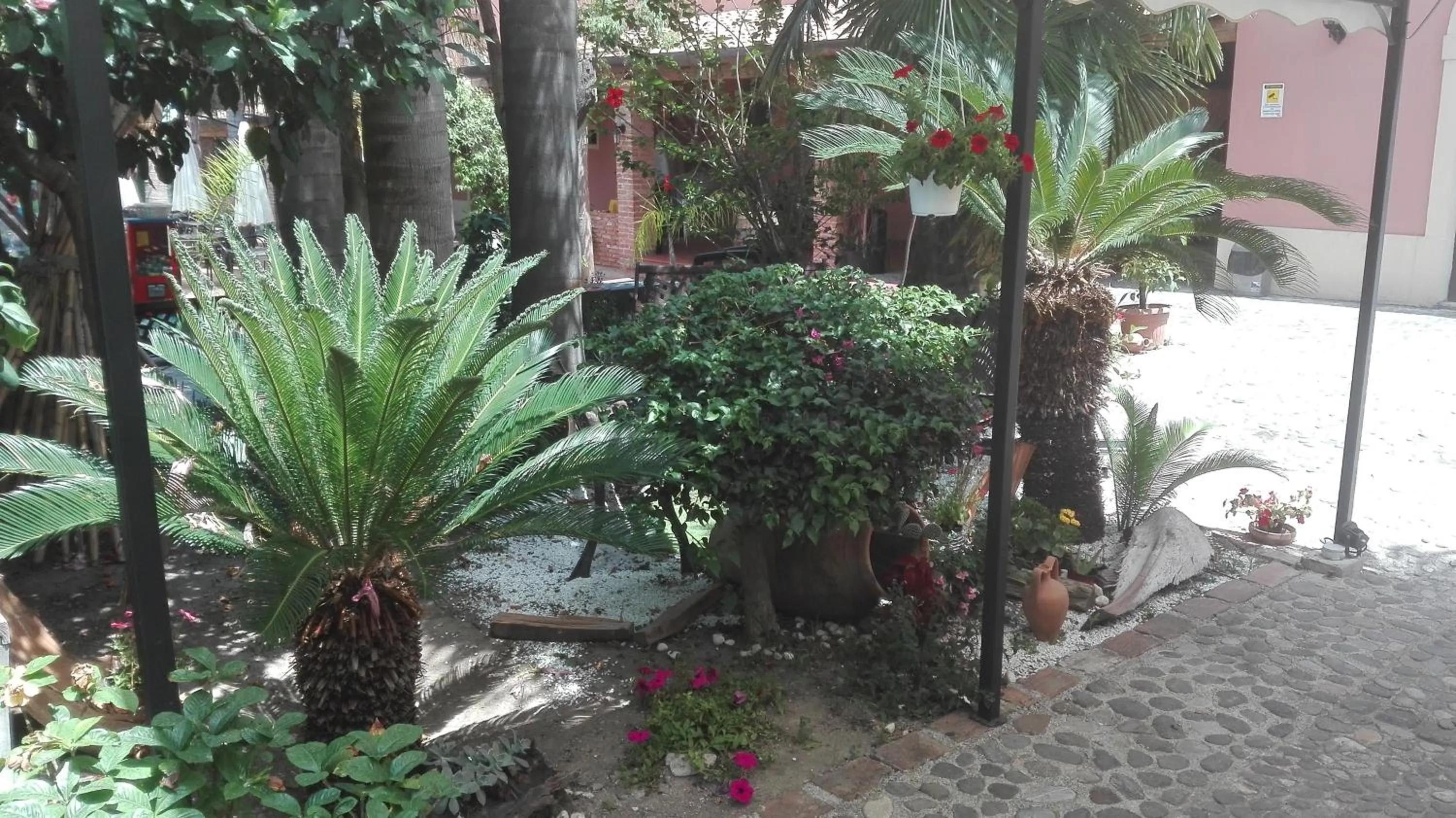 Garden in Casantica Turismo Rurale