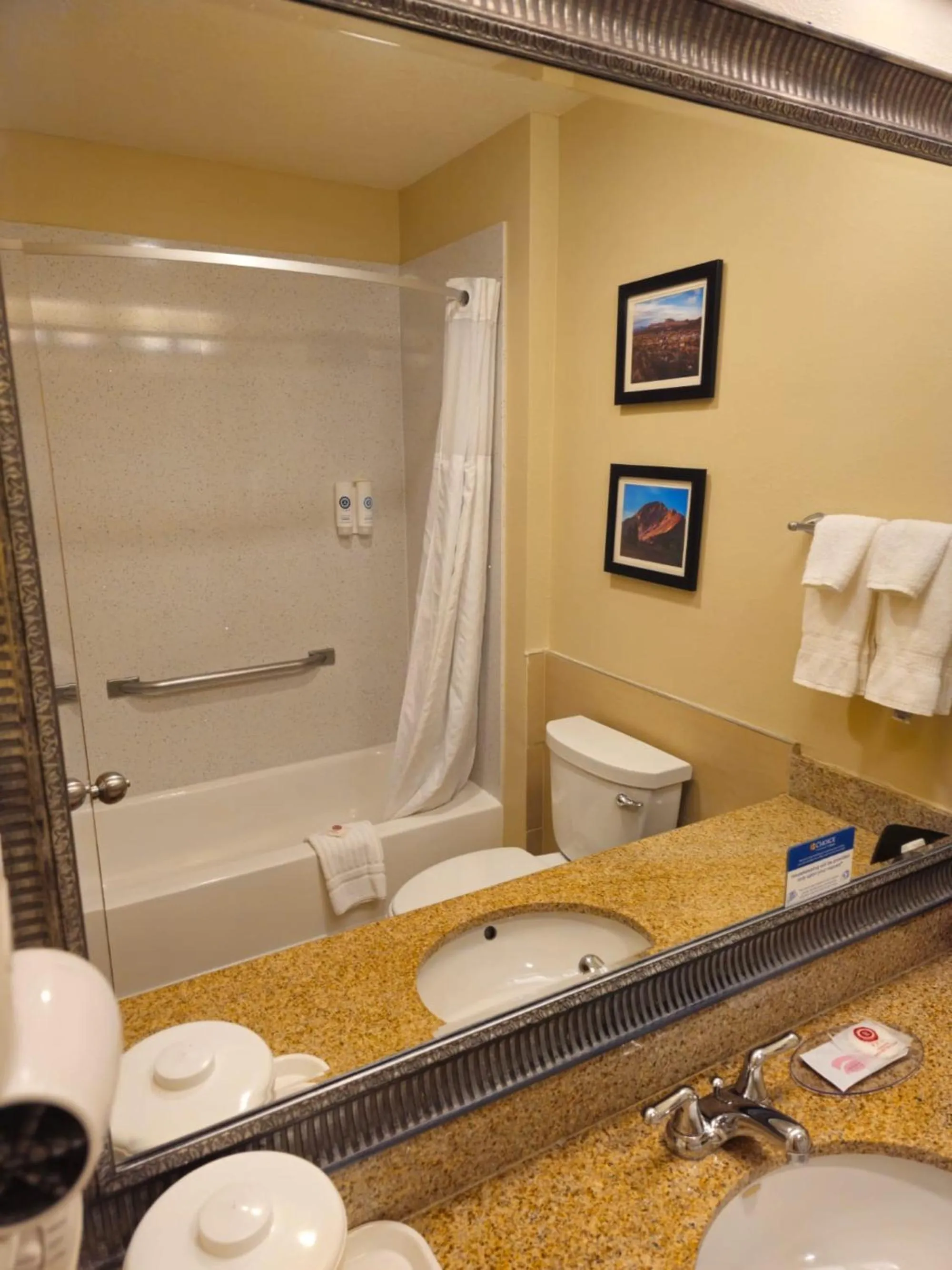 Bathroom in Comfort Inn & Suites Durango