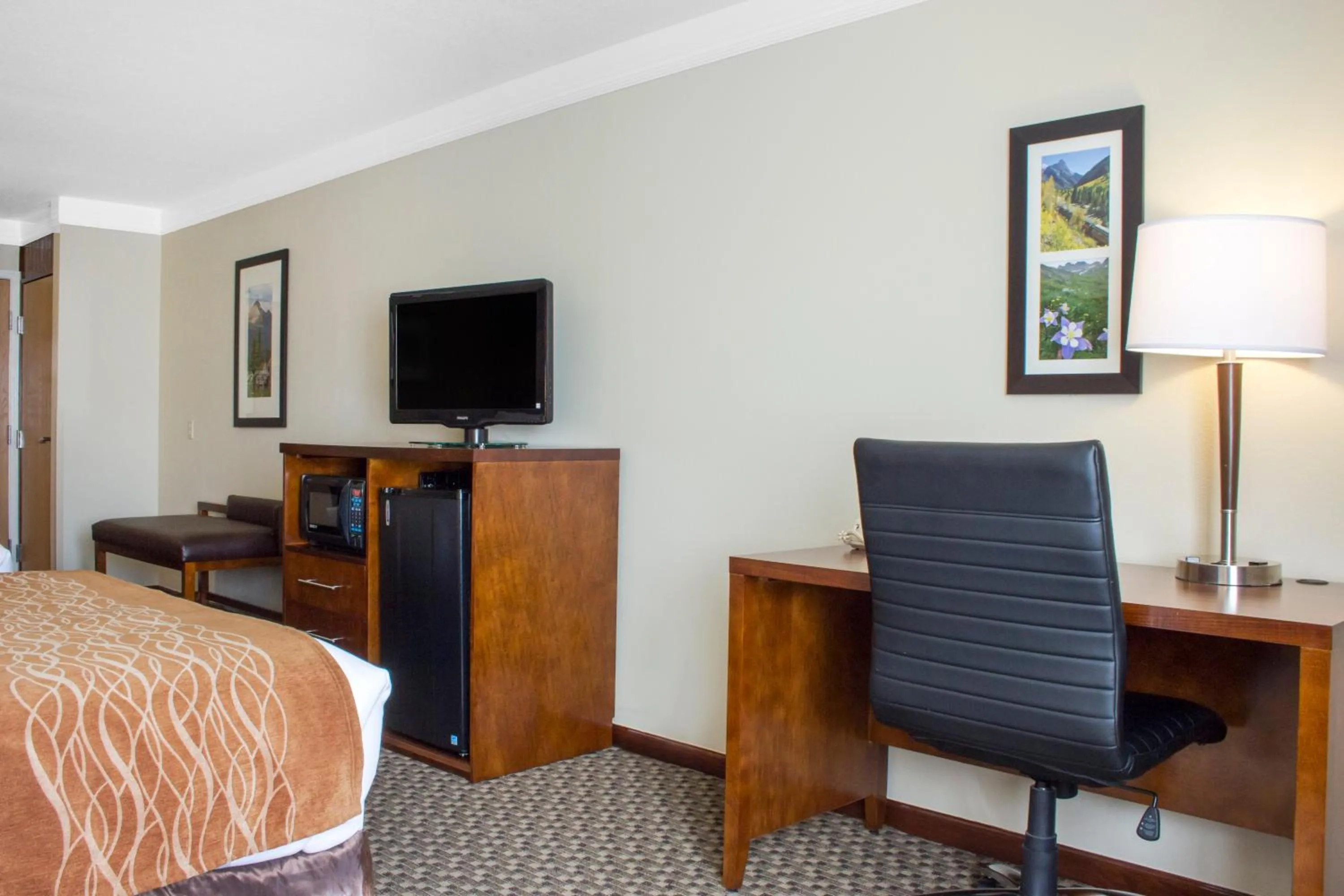 Photo of the whole room, Bed in Comfort Inn & Suites Durango