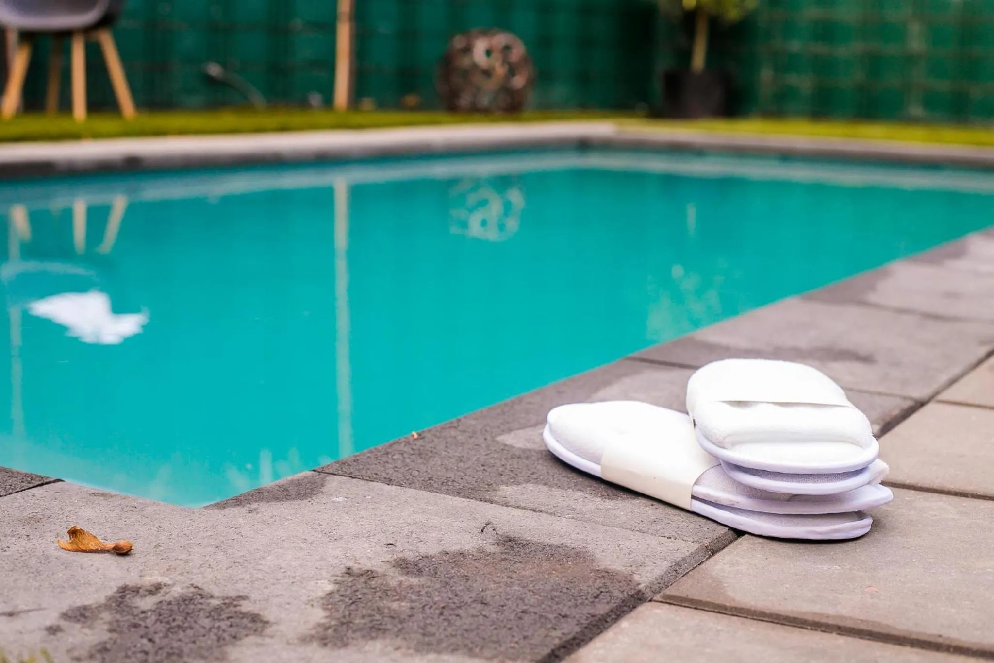 Swimming pool in B B Huize Hooijer