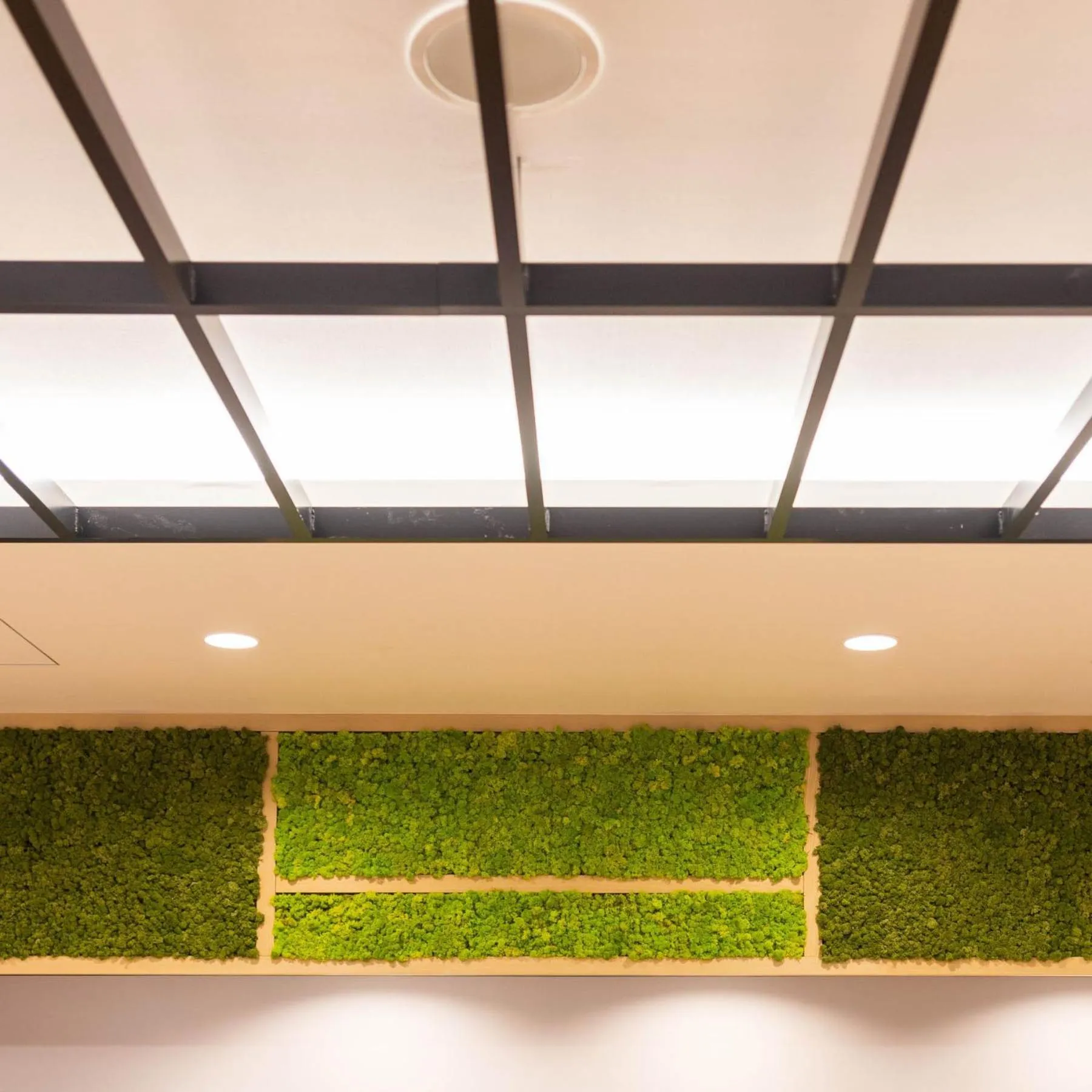 Super Hotel Echizen Takefu