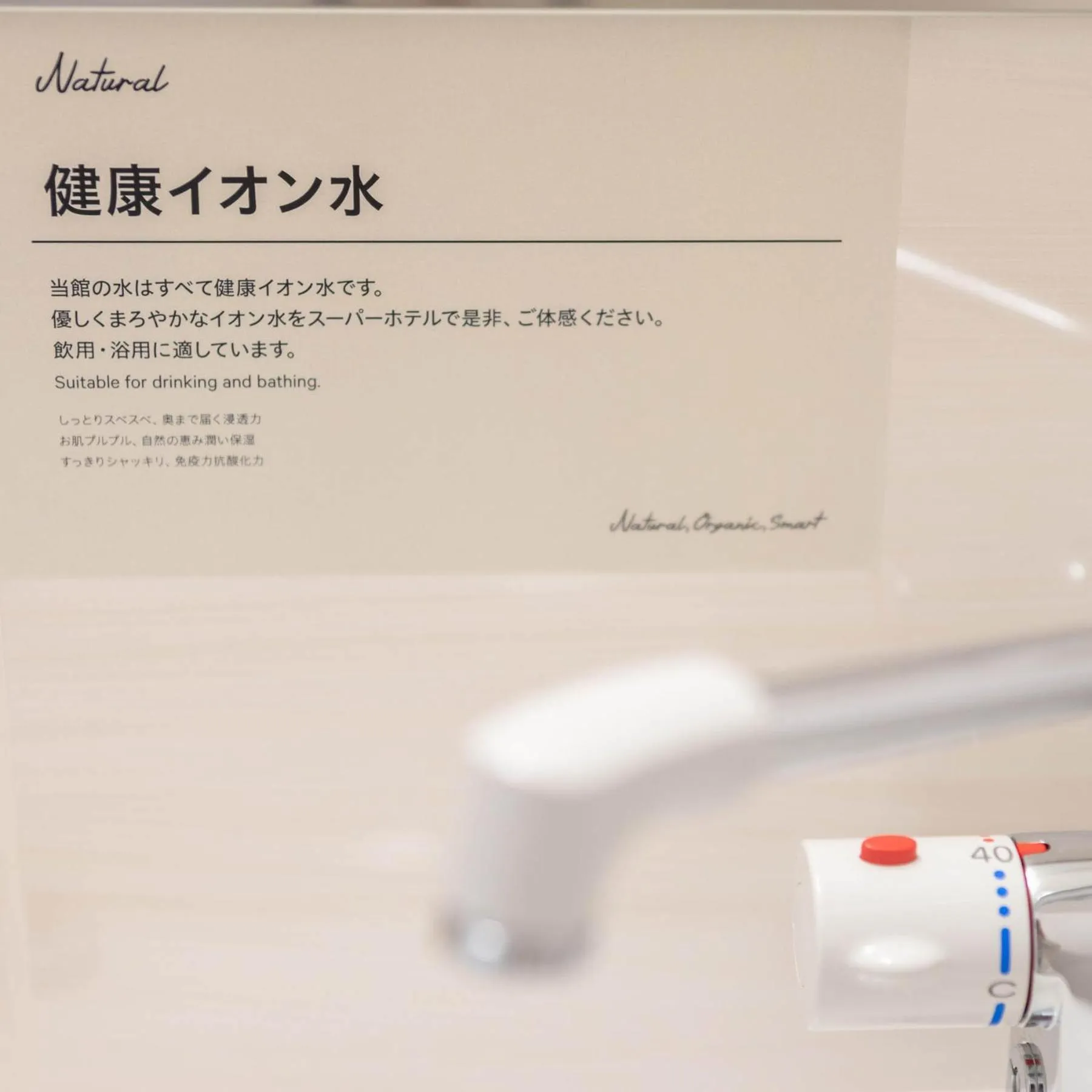 Super Hotel Echizen Takefu