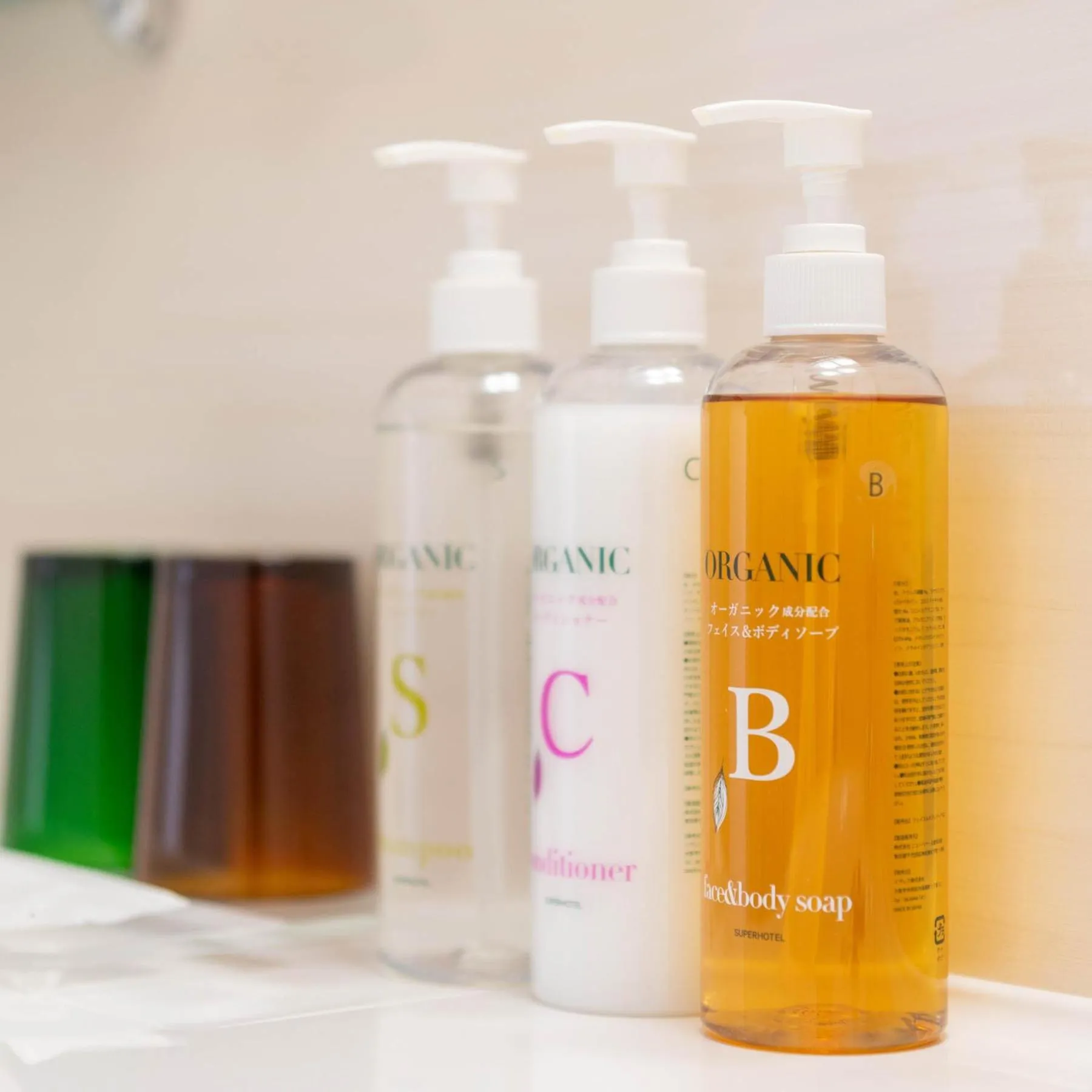 Bathroom in Super Hotel Echizen Takefu