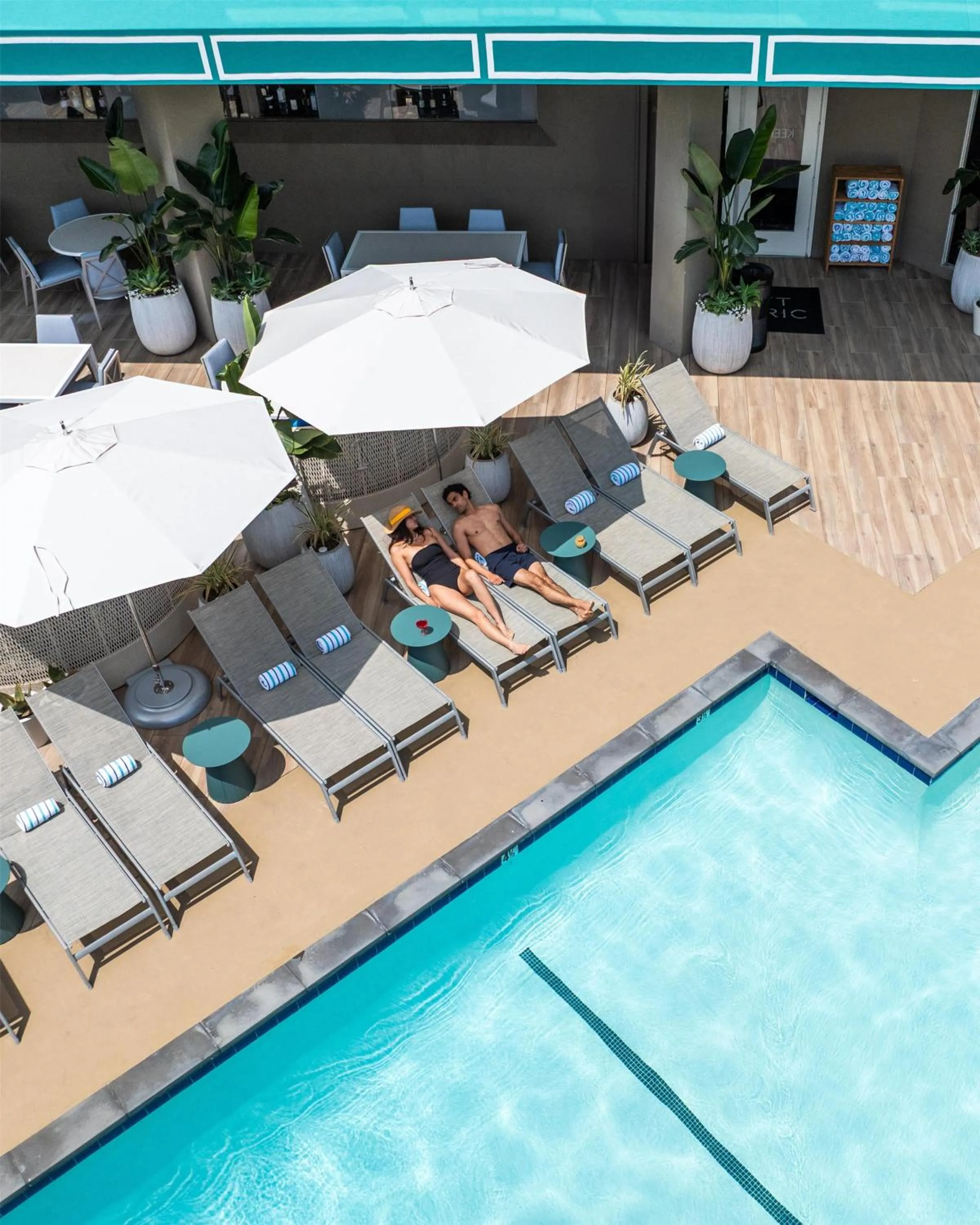 Swimming pool in Hyatt Centric Delfina Santa Monica